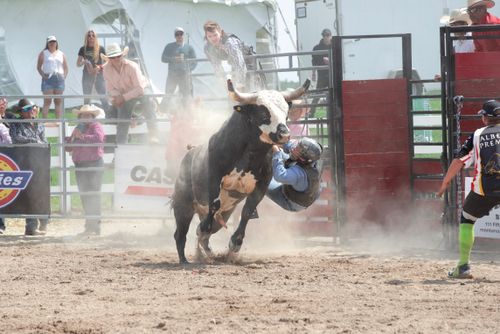 Free Dramatic bull riding scene with a rider in action during a thrilling rodeo event under the sun. Stock Photo