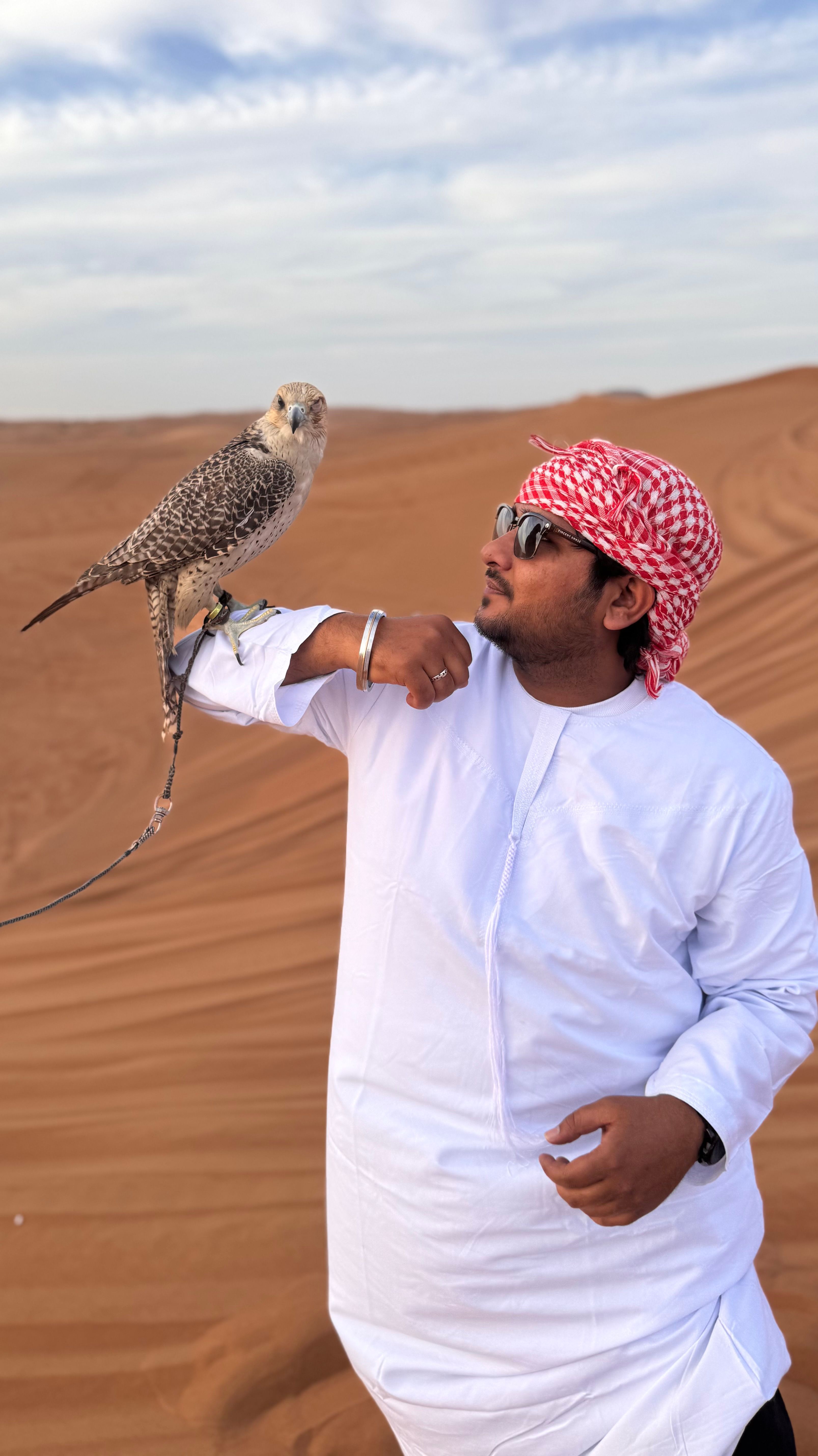 Arab Falcon Photos, Download The BEST Free Arab Falcon Stock Photos ...