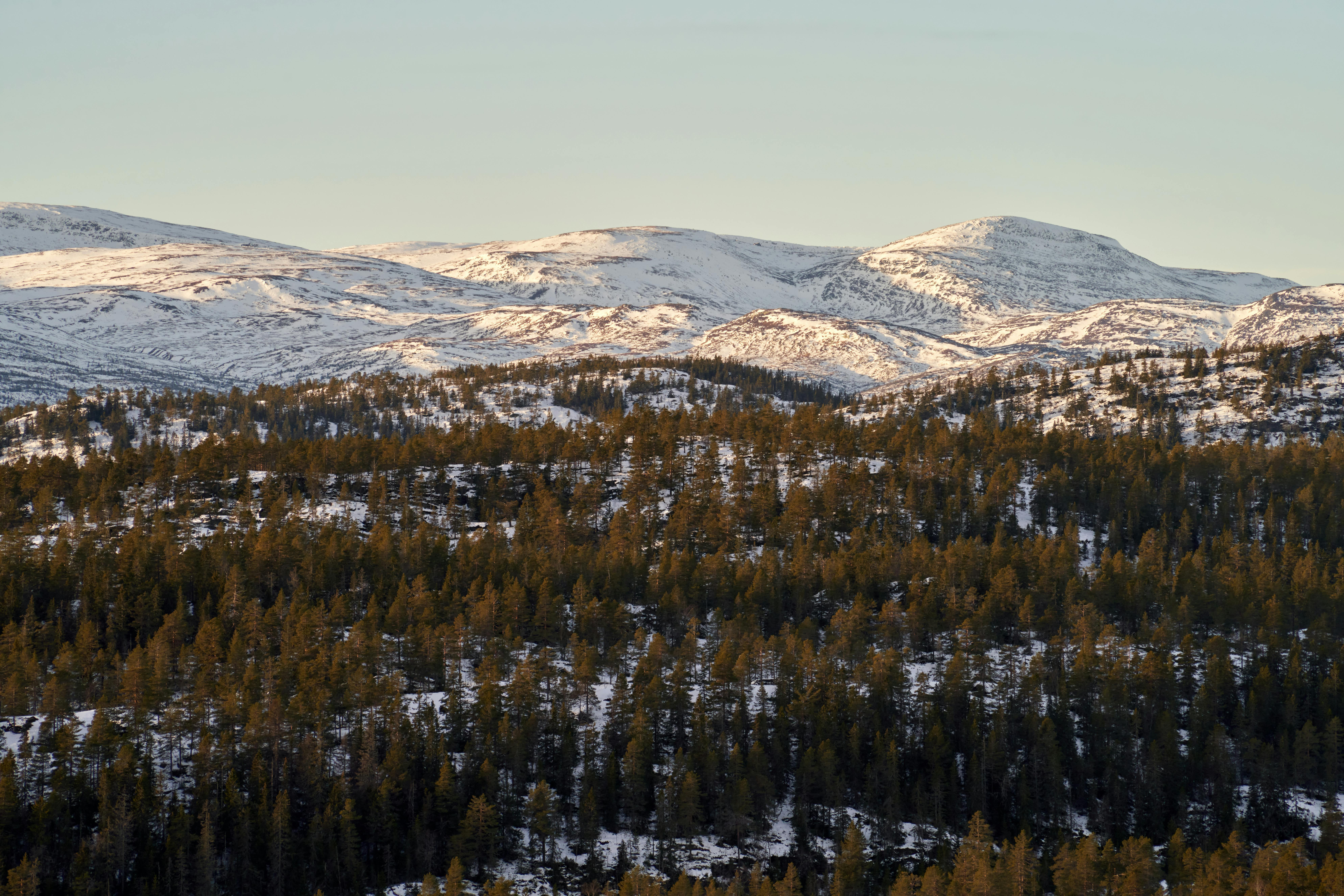 置物 WINTER MOUNTAINS Snow-Capped Mountain Range in Winter Landscape · Free Stock