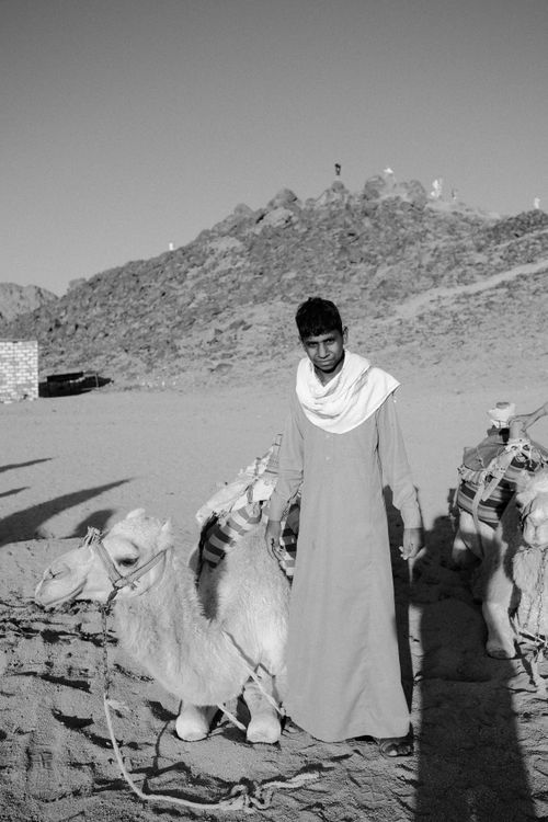 Free A man in traditional attire stands with camels in a rocky desert setting. Stock Photo