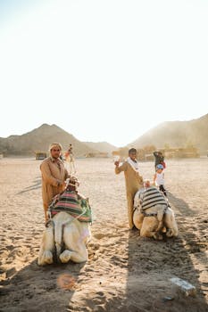 Two men with camels in a scenic desert landscape during sunset.