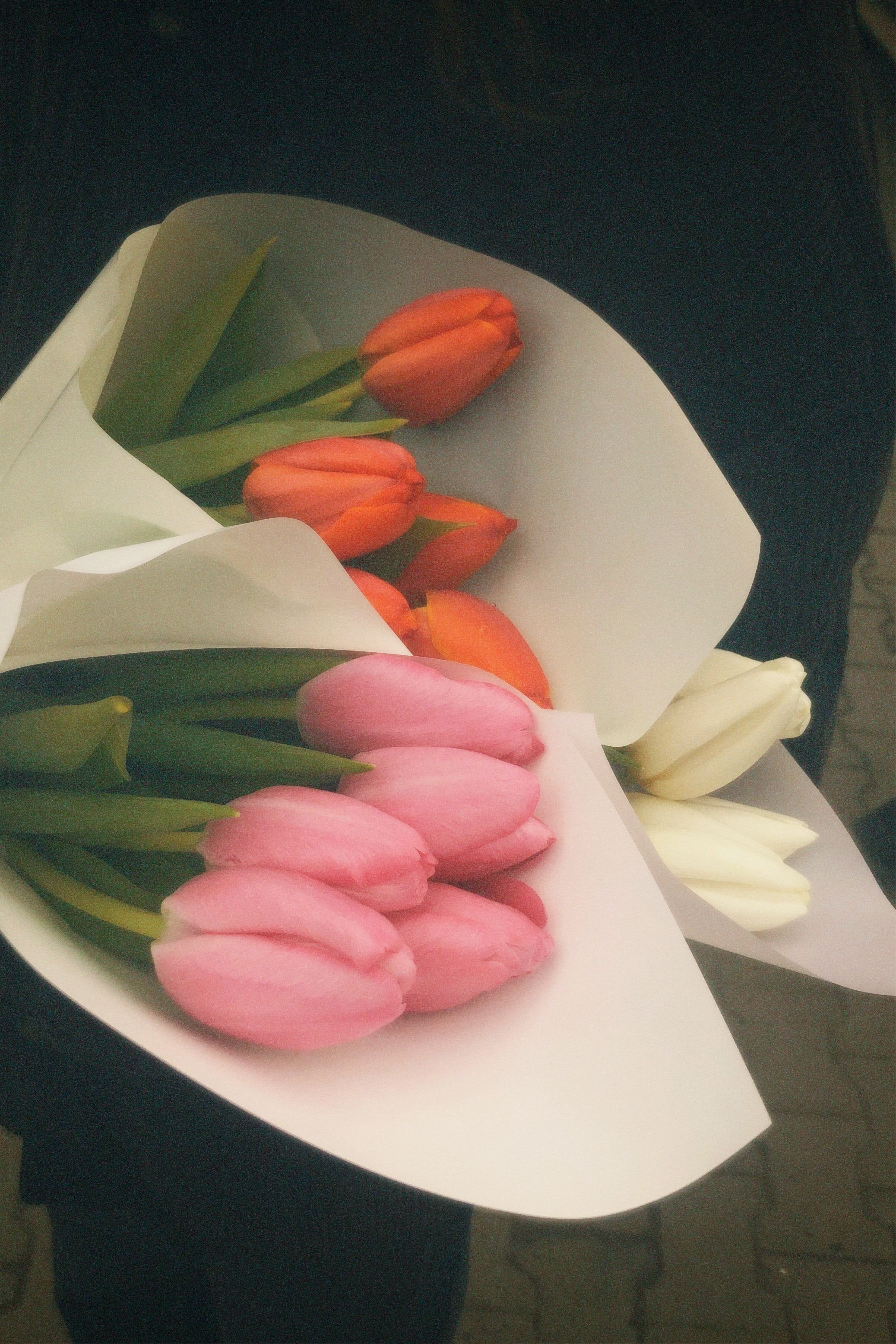 Red, pink, and white tulip bouquets wrapped in paper, captured in soft lighting.