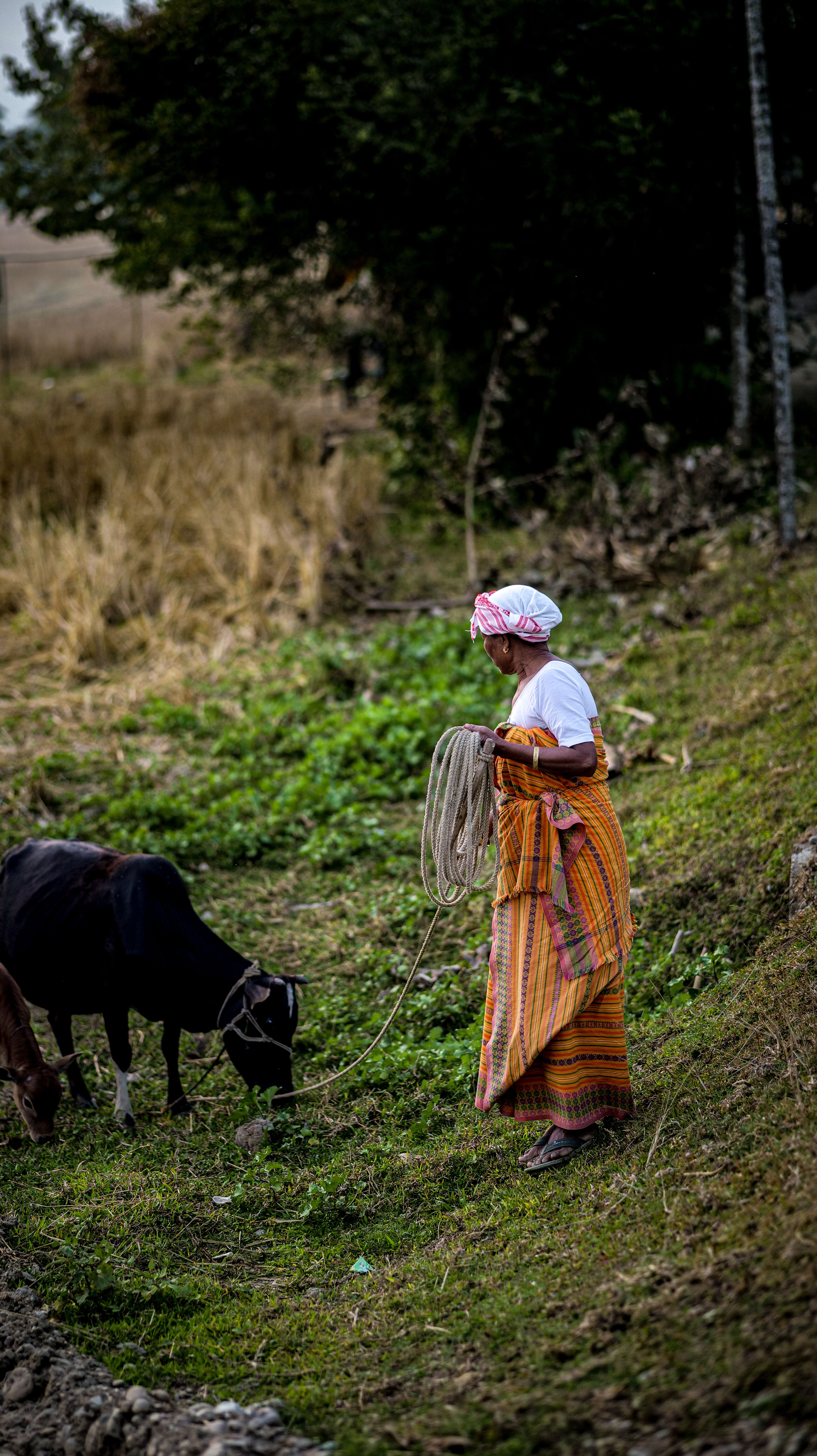 Gau Arogya Abhiyan