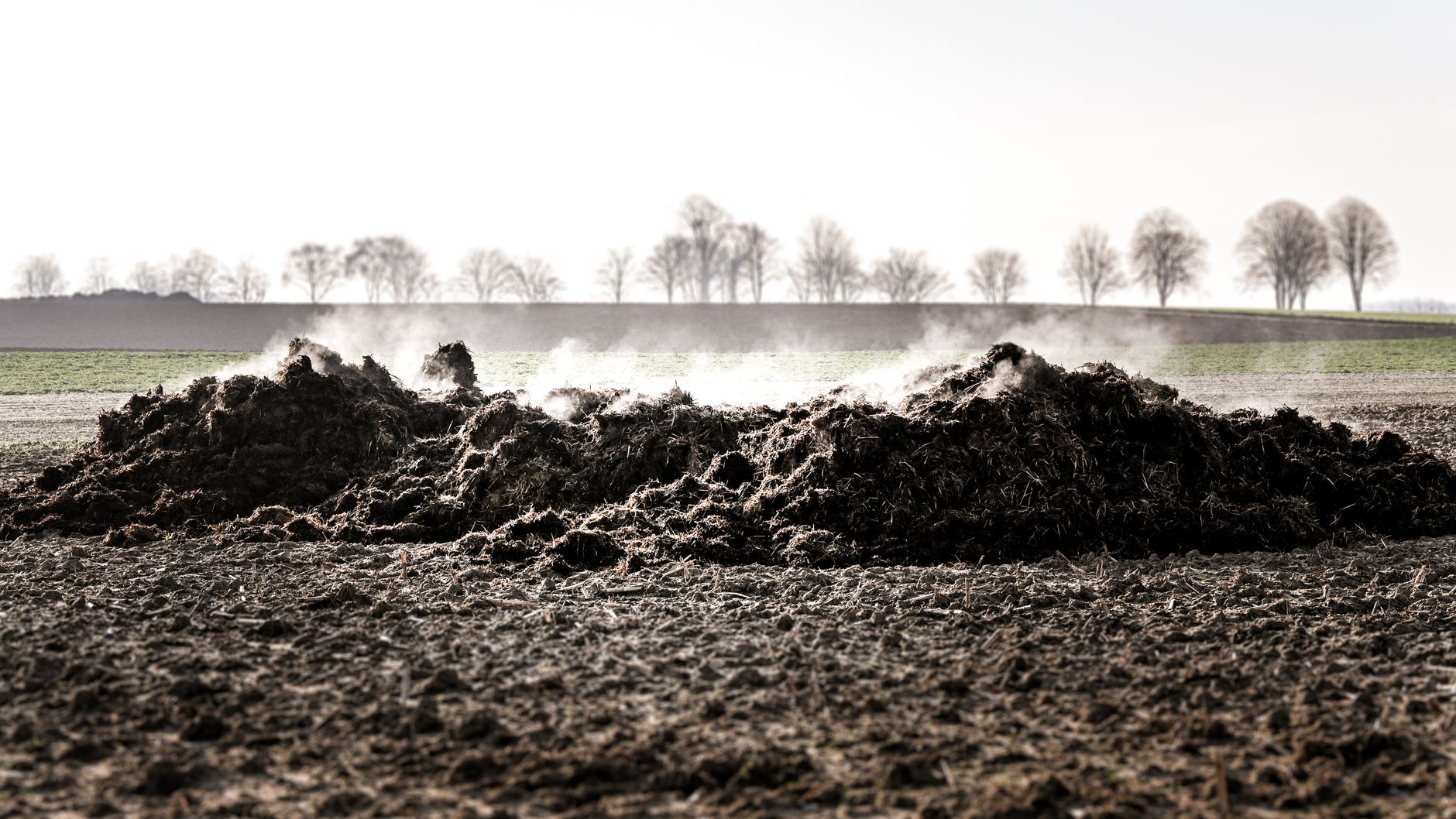 Microsoft Signs 1 Million-Unit Biochar Deal With Liferaft