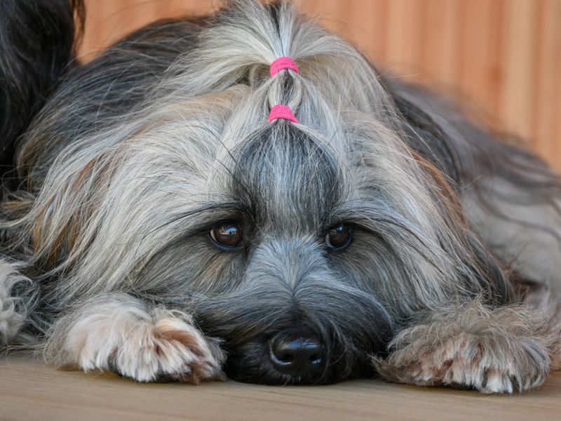 Honey - photo 1