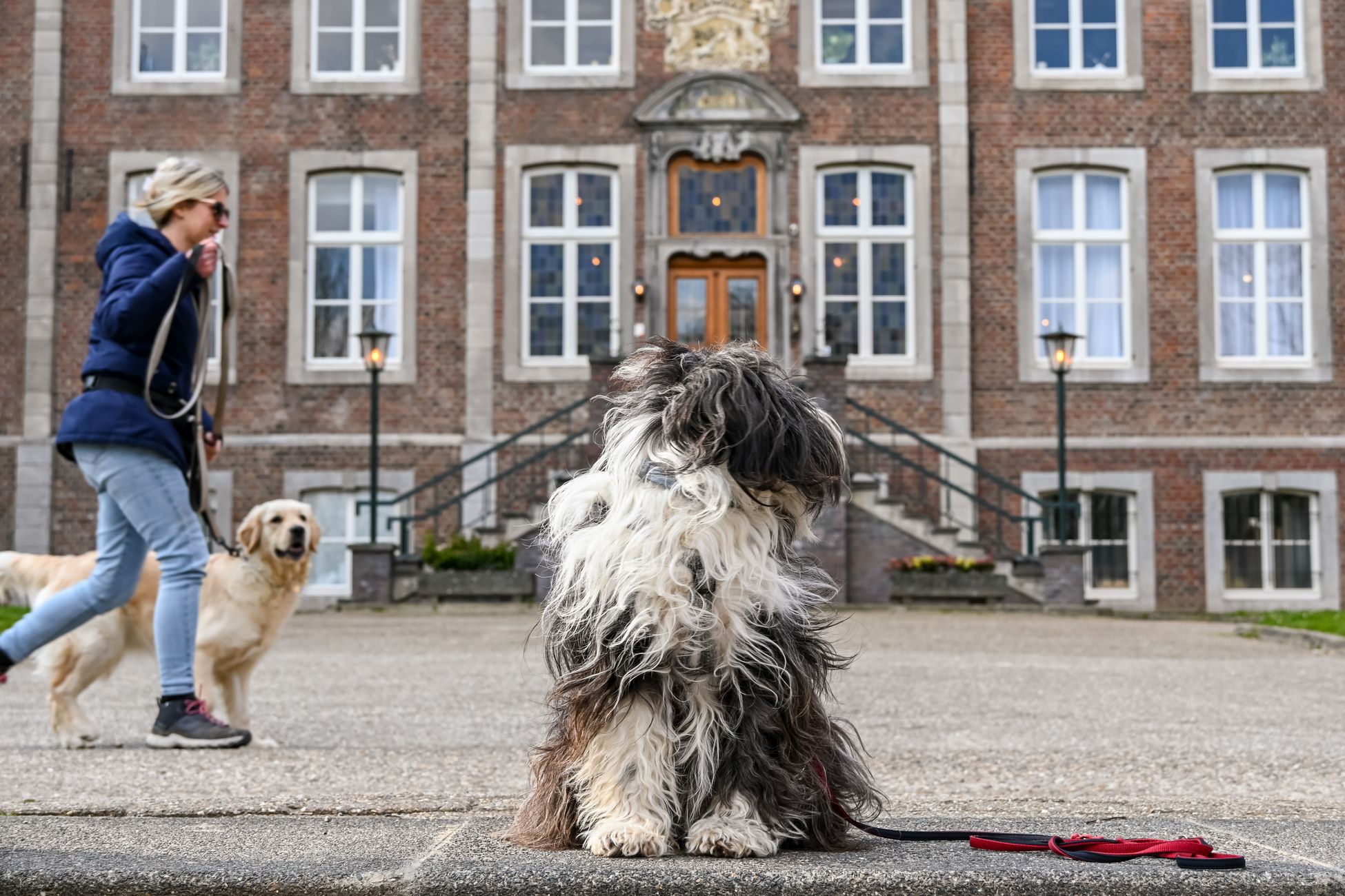 Alle startbewijzen Vierdaagse vergeven, ondanks smeekbedes