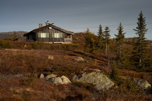 Free Charming Norwegian cabin in serene alpine setting, surrounded by pine trees and mountains. Stock Photo