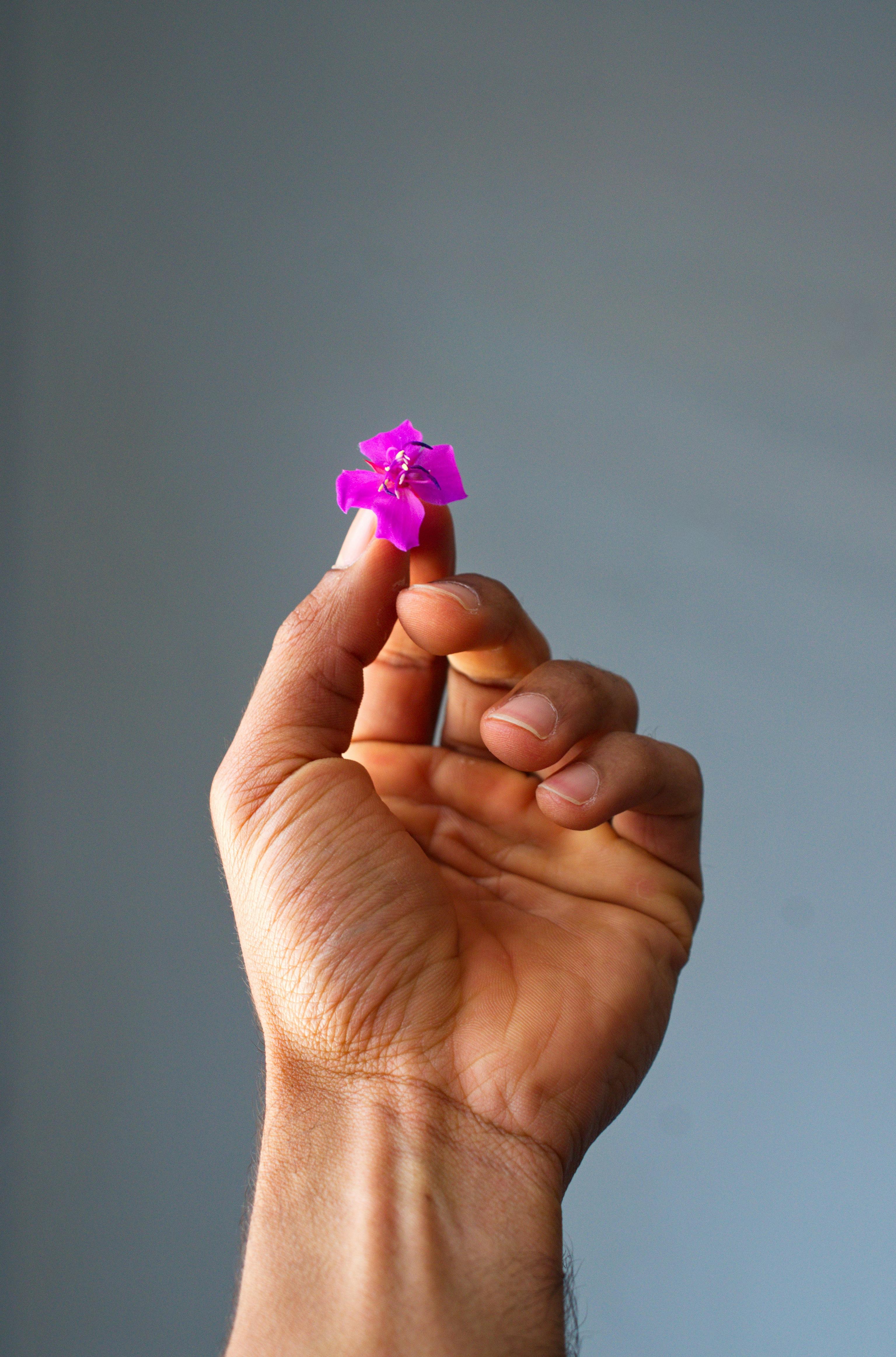 A hand holding a delicate pink flower against a soft blue sky background.