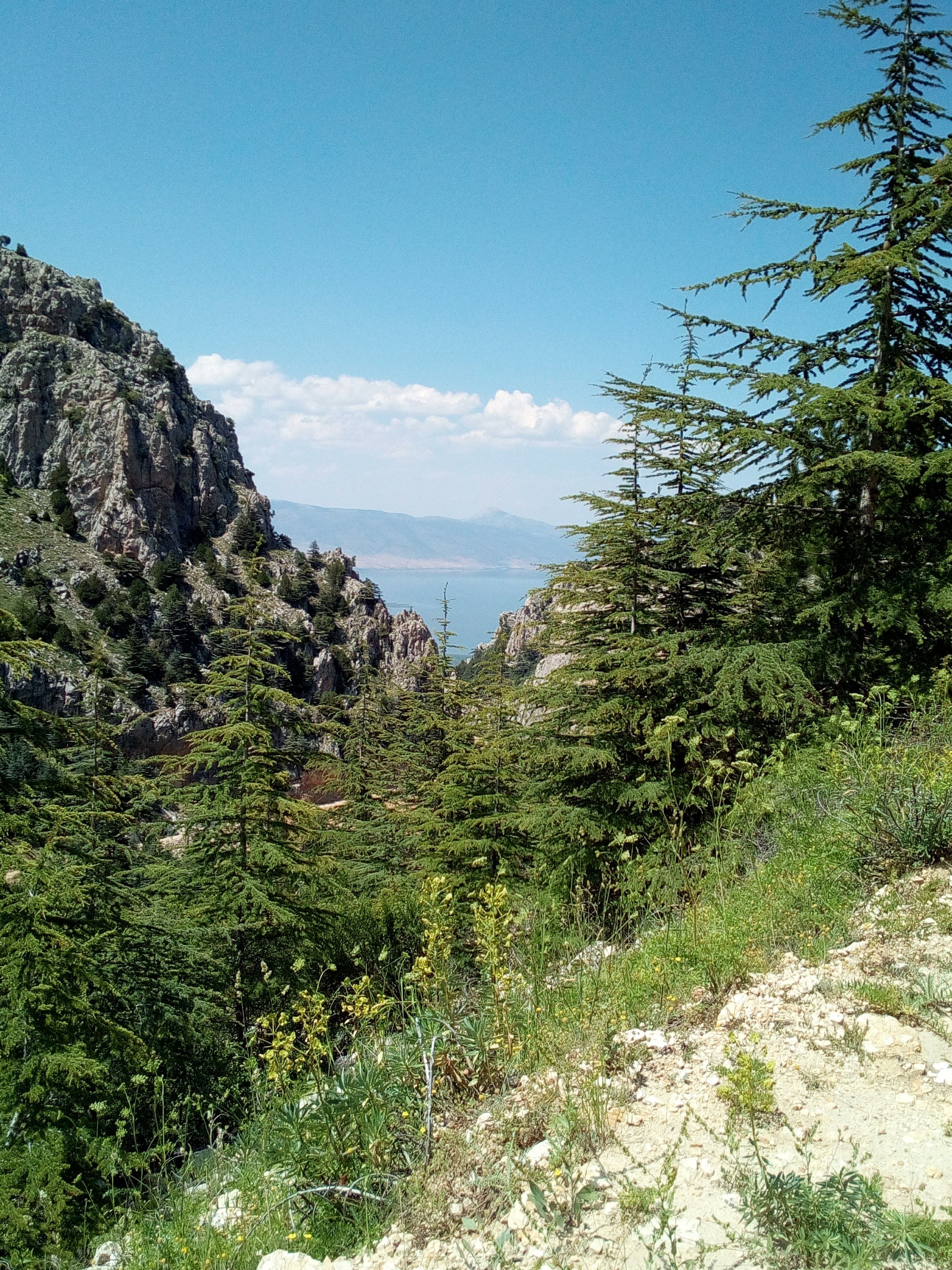 Scenic Mountain View with Lush Greenery · Free Stock Photo