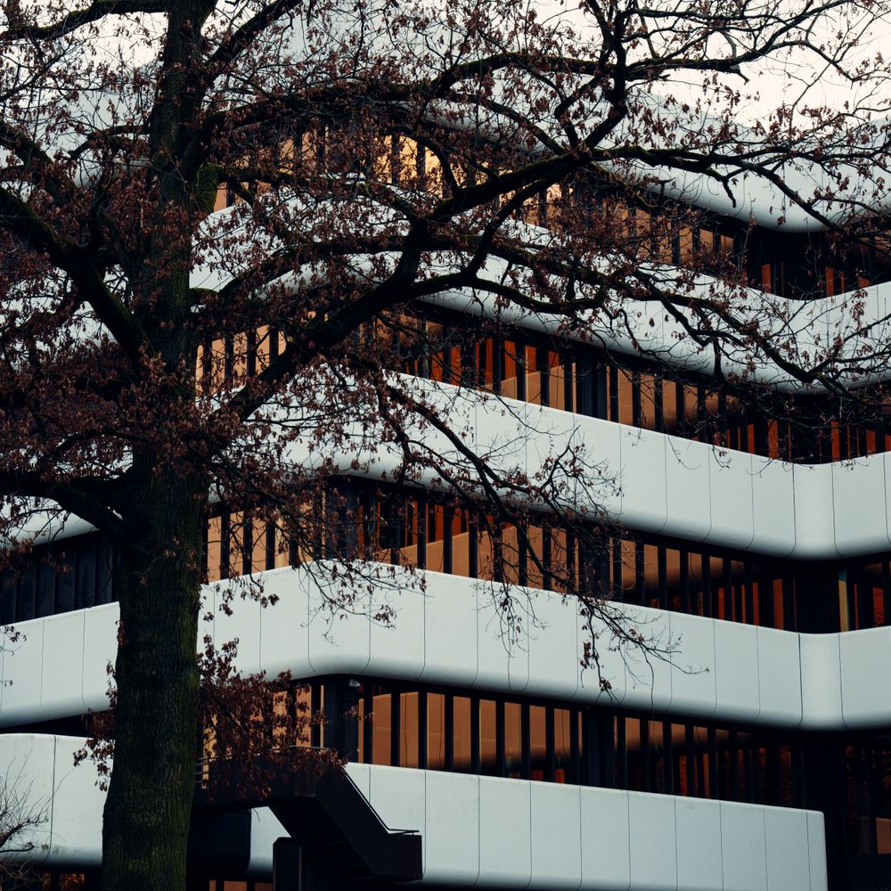 Bratton Fleming — office relocation team moving desks and equipment