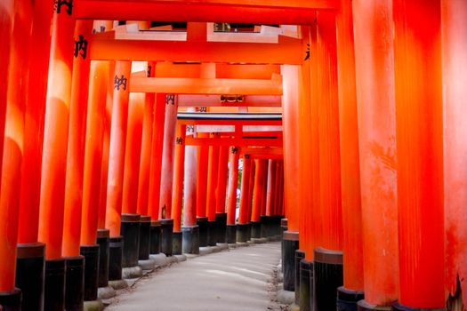 Fushimi Inari dawn before the crowds — Kyoto