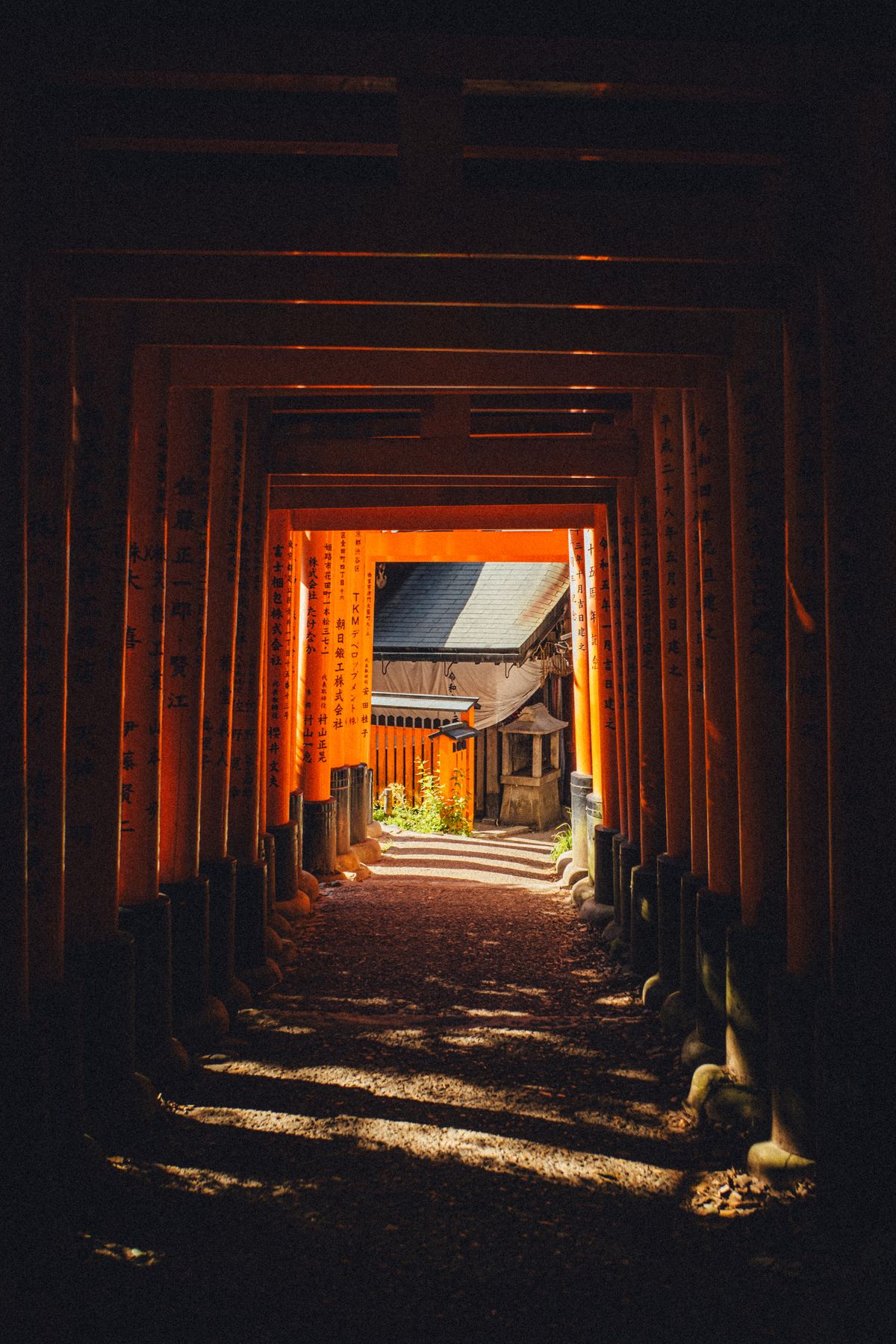 Fushimi Inari torii pathway at sunrise, Kyoto
