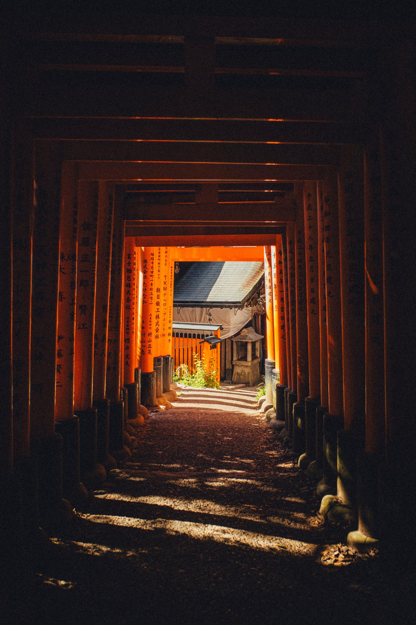 Traditional torii gate pathway