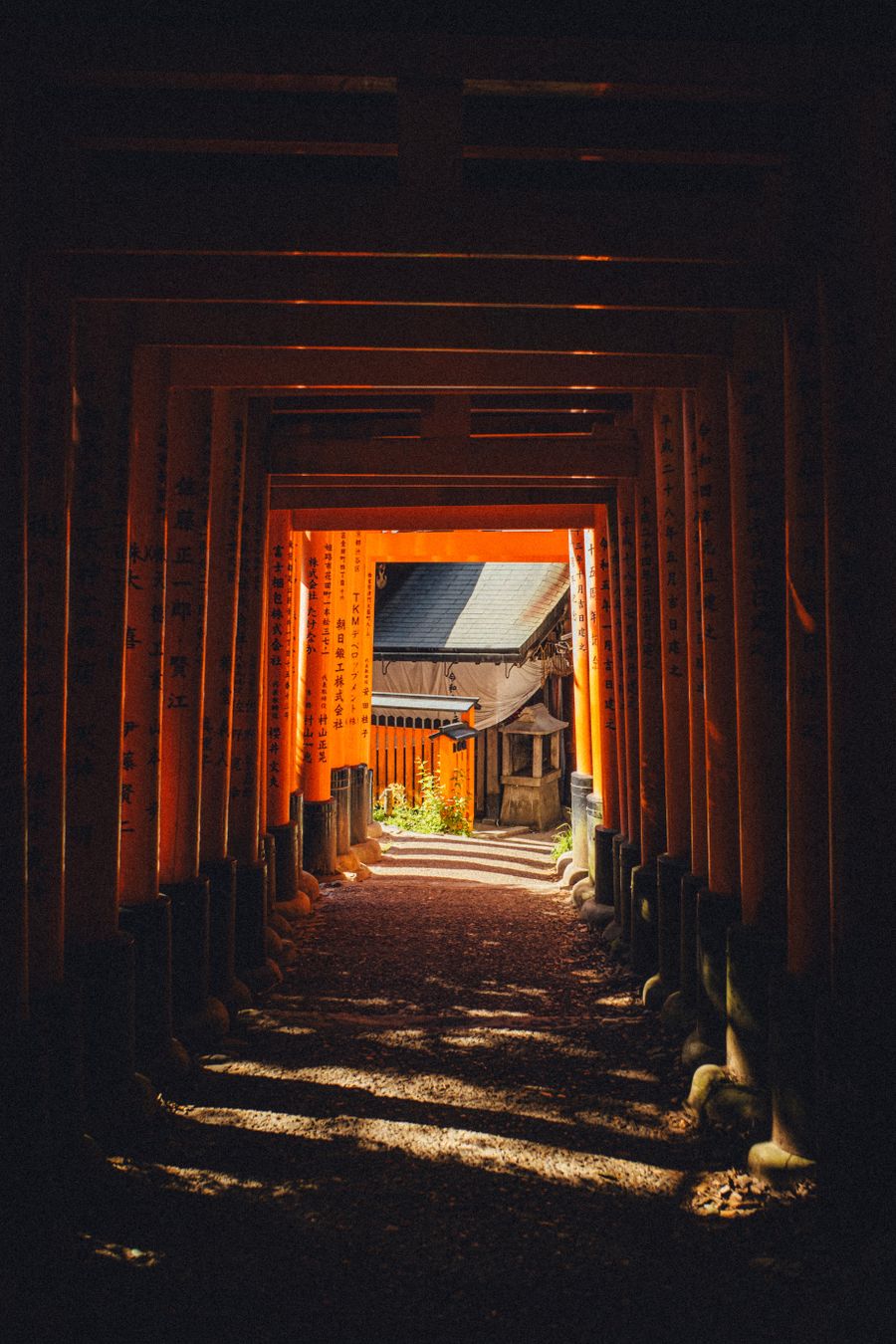 Fushimi Inari torii gates at sunrise, Kyoto