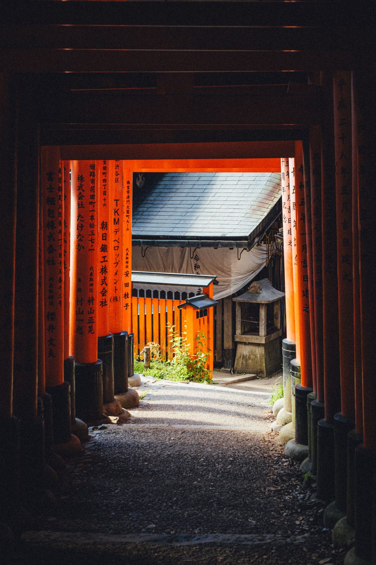 A tranquil Japanese shrine seen through vibrant red torii gates surrounded by greenery