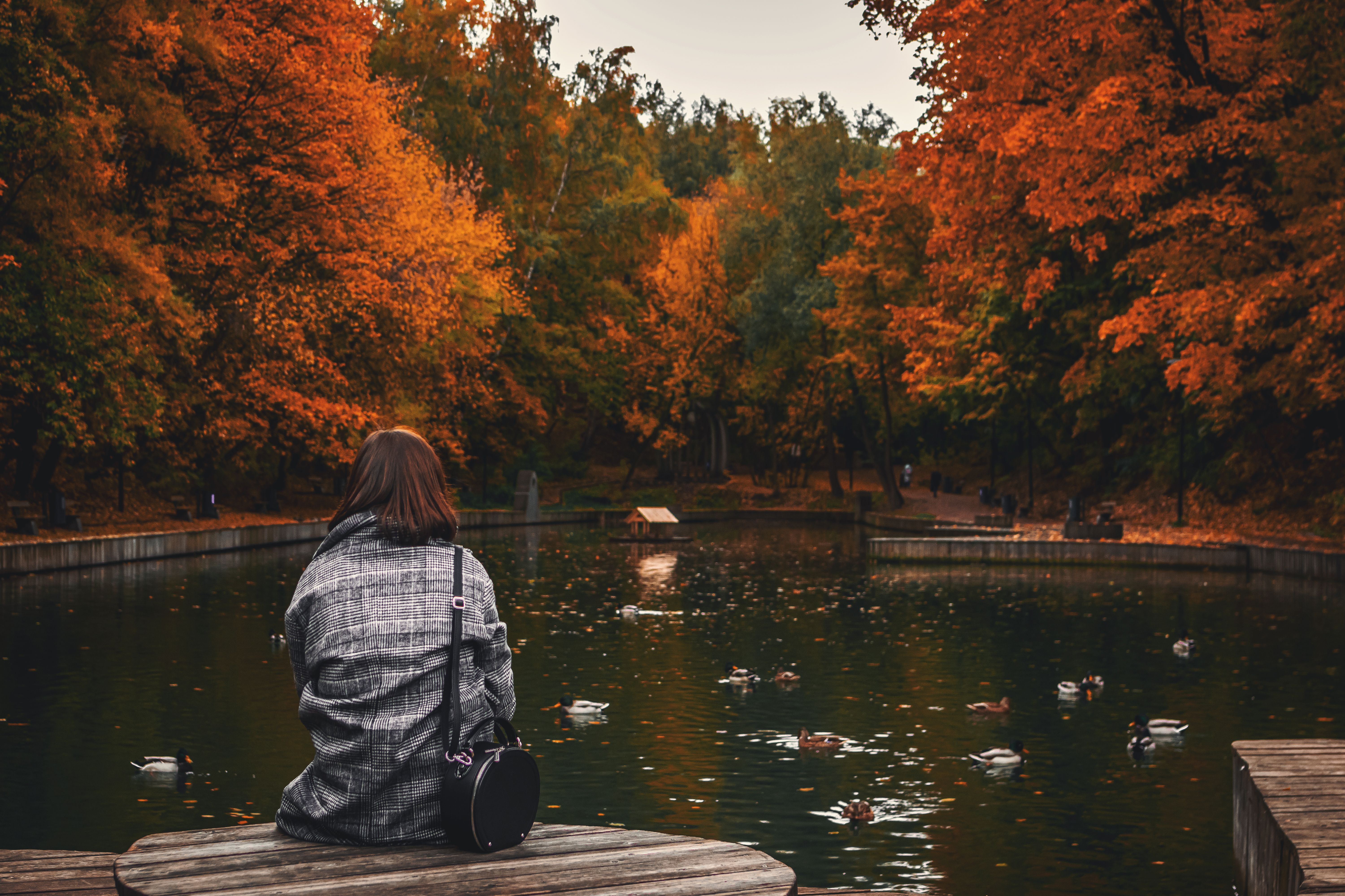 Back View Photo of Woman Sitting Wooden Surface Near Body of Water