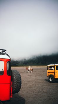 Misty morning scene with colorful jeeps and a horse rider on a vast open field.