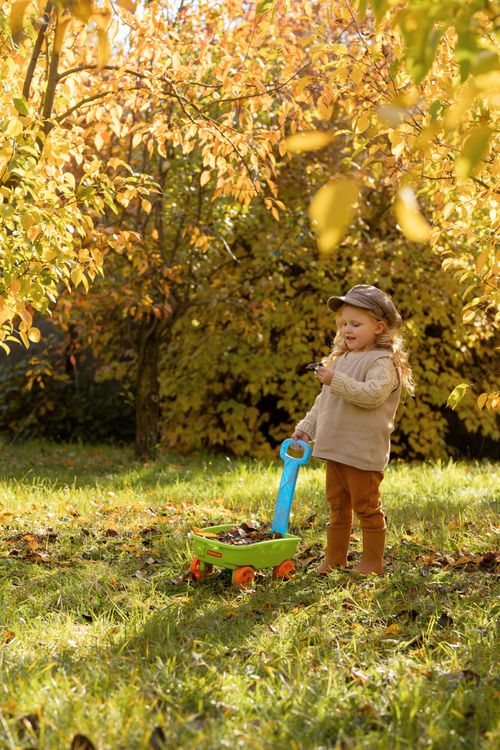 Free A young girl enjoys a sunny autumn day with a toy cart under golden leaves. Stock Photo