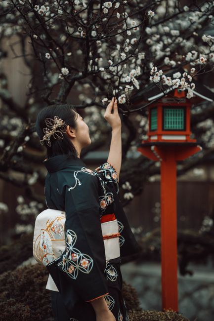 Japanese woman wearing a kimono appreciating blossoms in Kyoto, Japan.