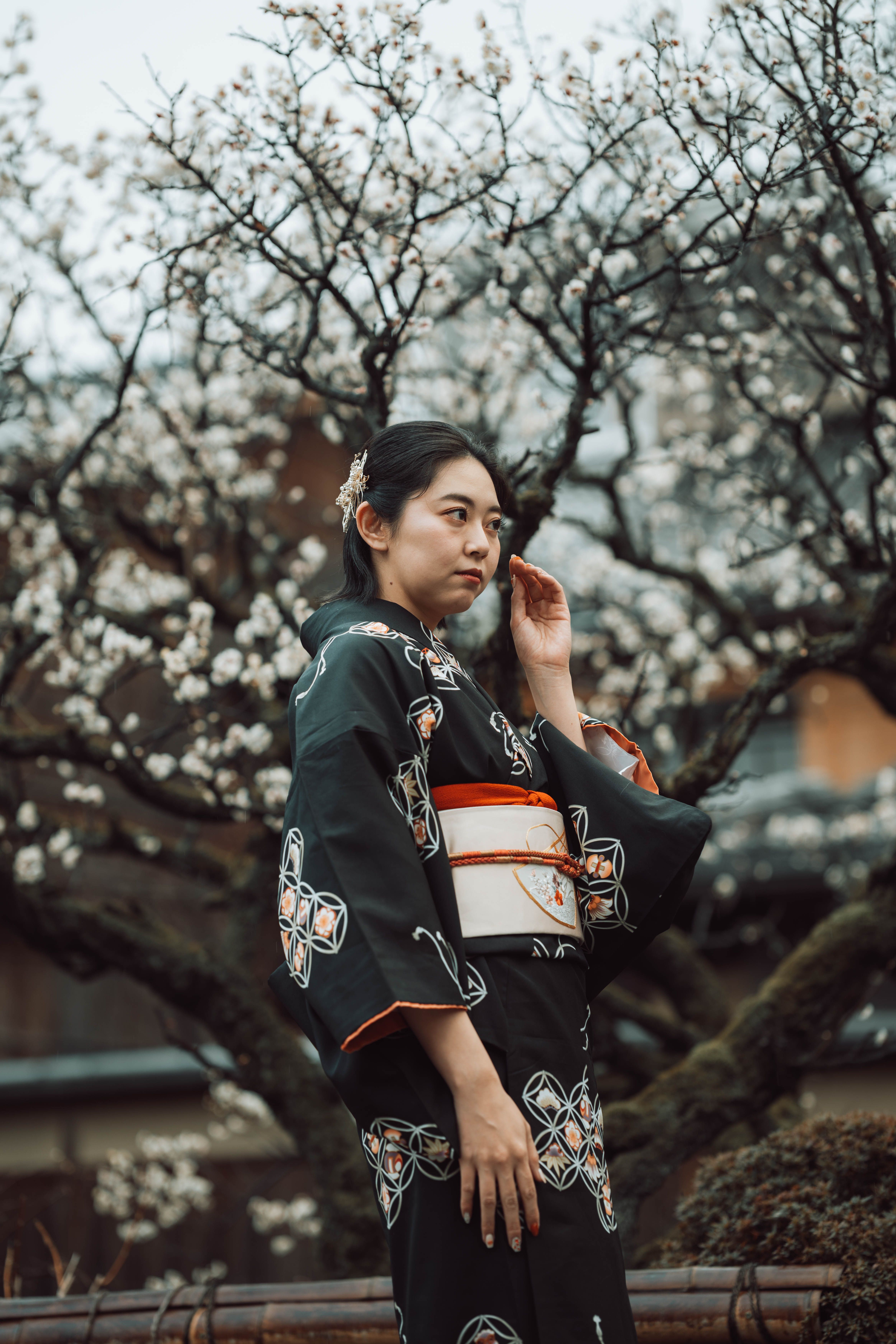 Woman in a kimono poses with cherry blossoms in Kyoto, showcasing traditional Japanese culture.