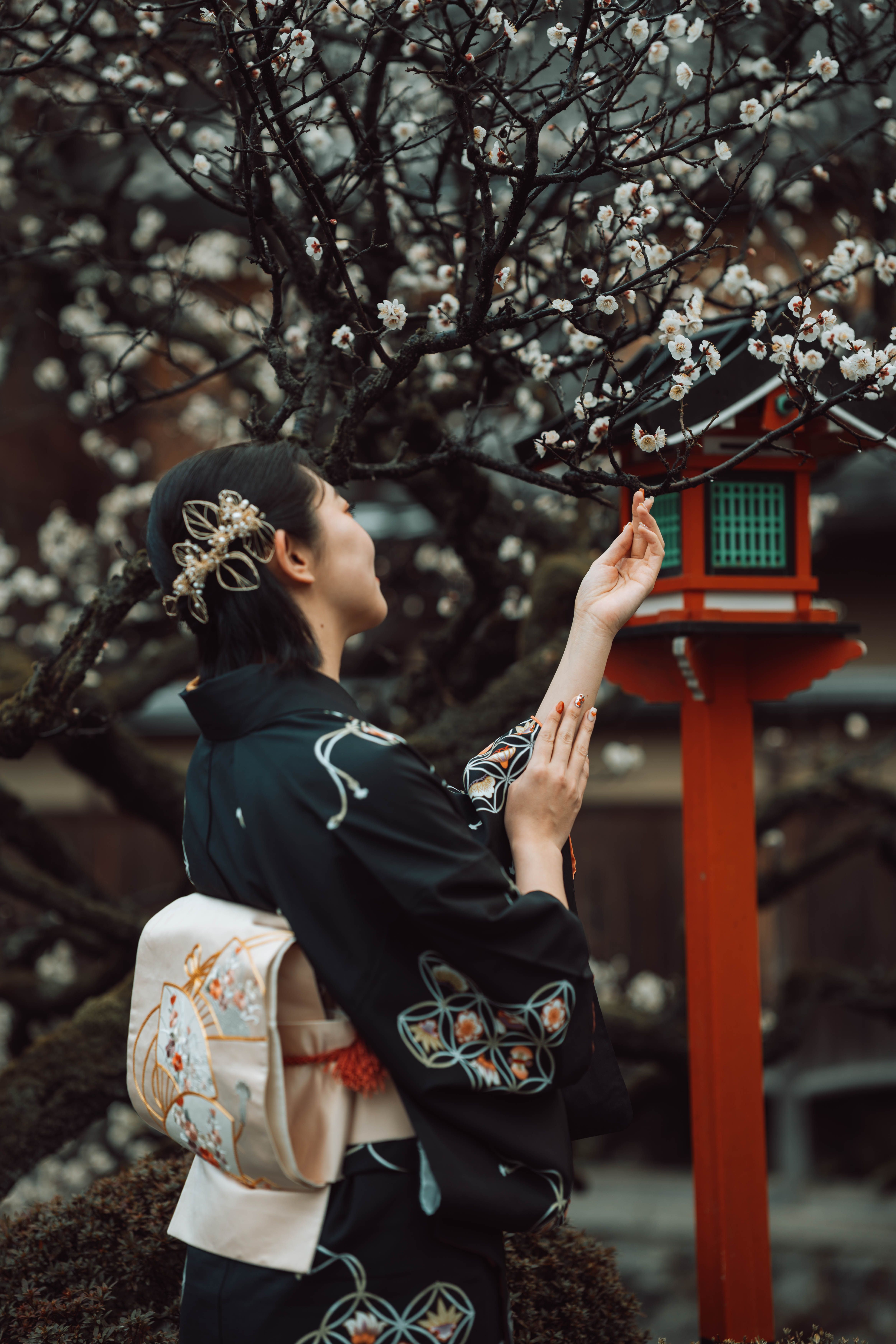 Hanami