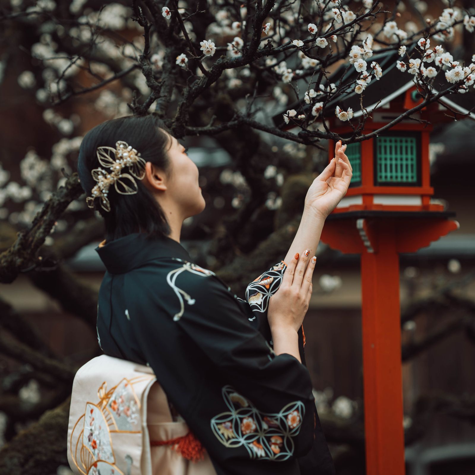 Hanami