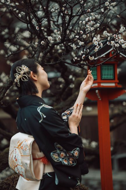Elegant Japanese woman in a kimono appreciating cherry blossoms in Kyoto.