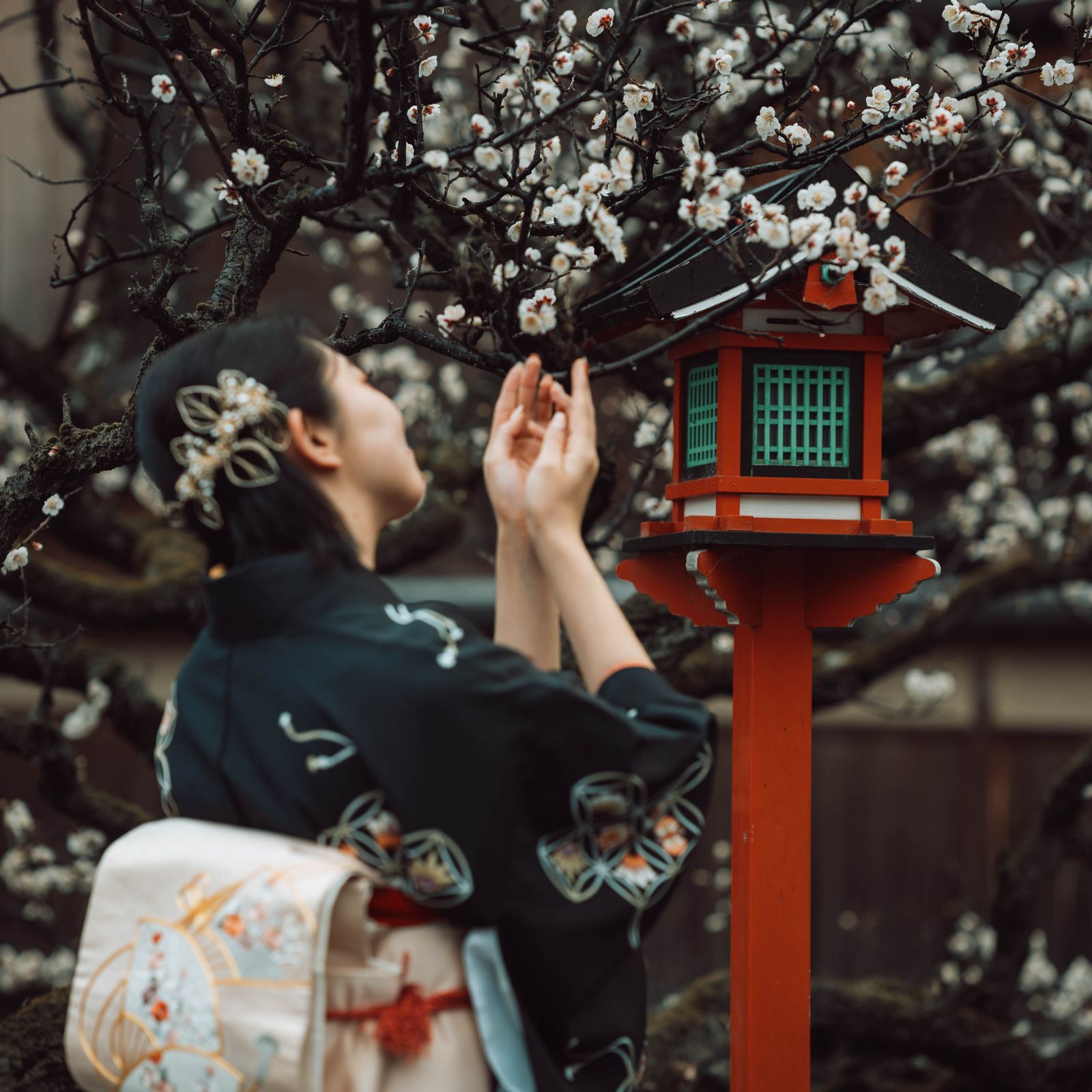 Hanami
