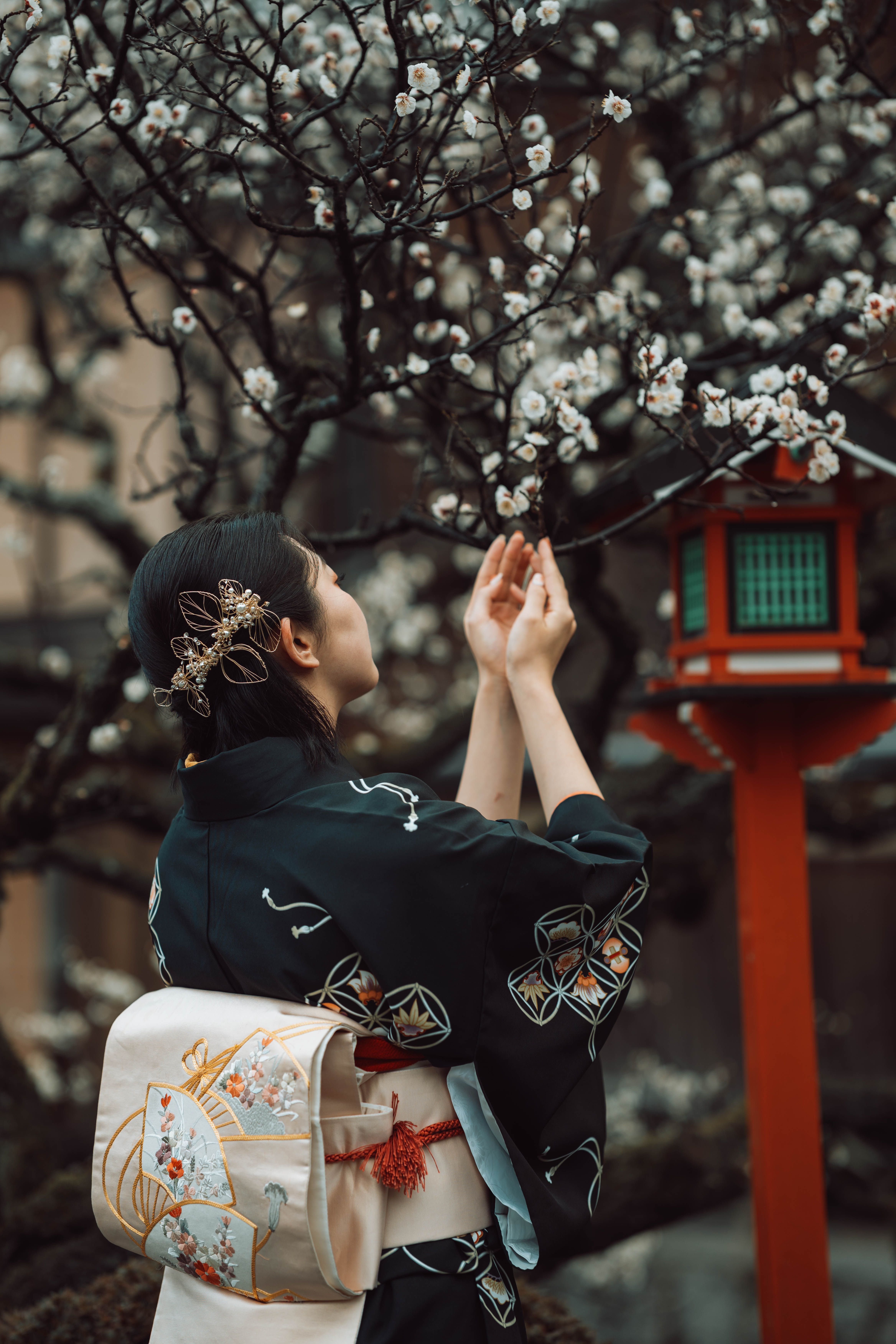 7 razones por las que las familias con niños aman viajar al Japón