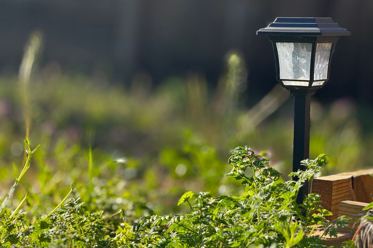 DIY-Solar-Outdoor-Deko: 6 Projekte für mehr Gartenflair — Variation