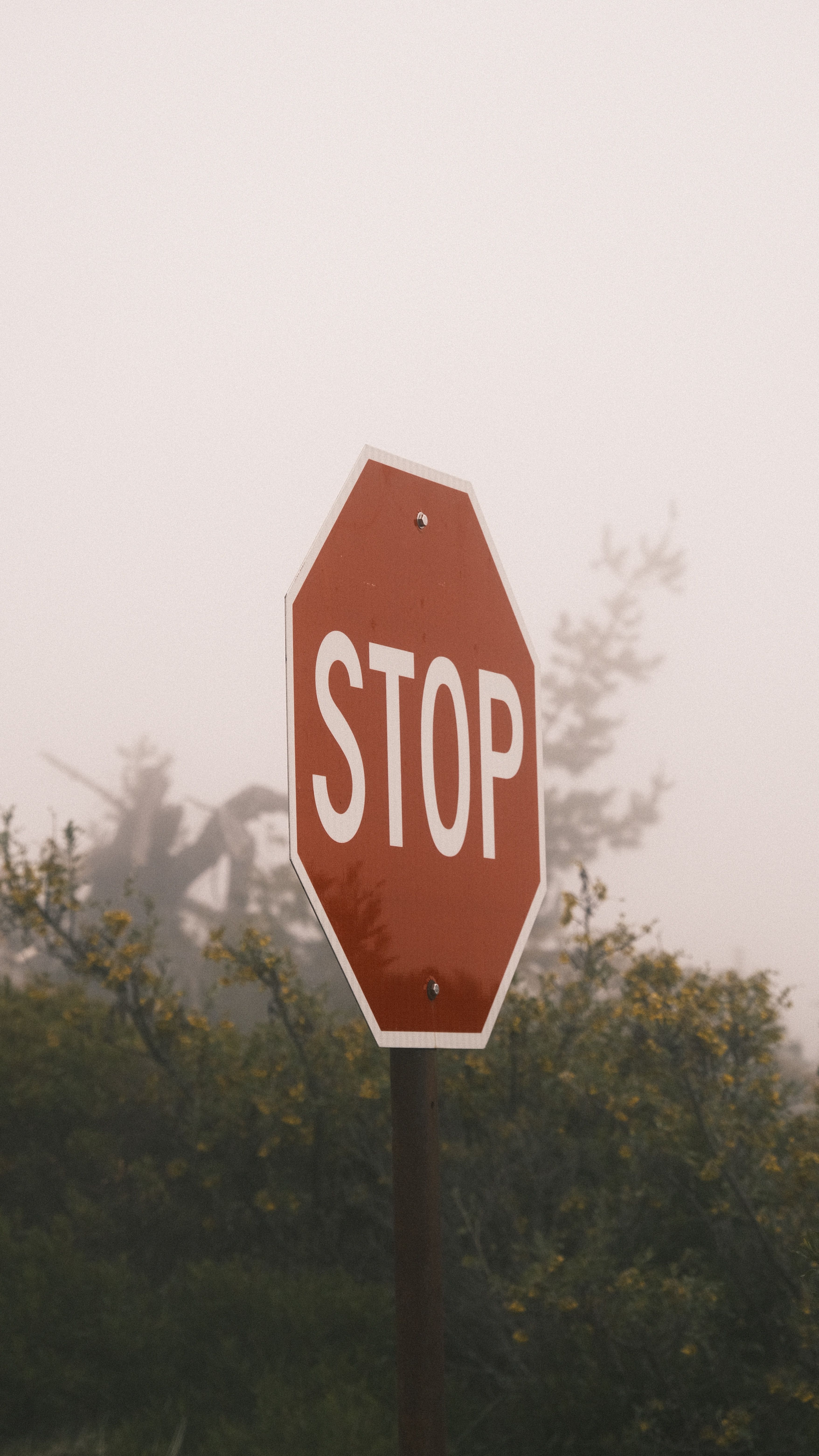 Red stop sign in a misty landscape, symbolizing caution and pause in foggy conditions.