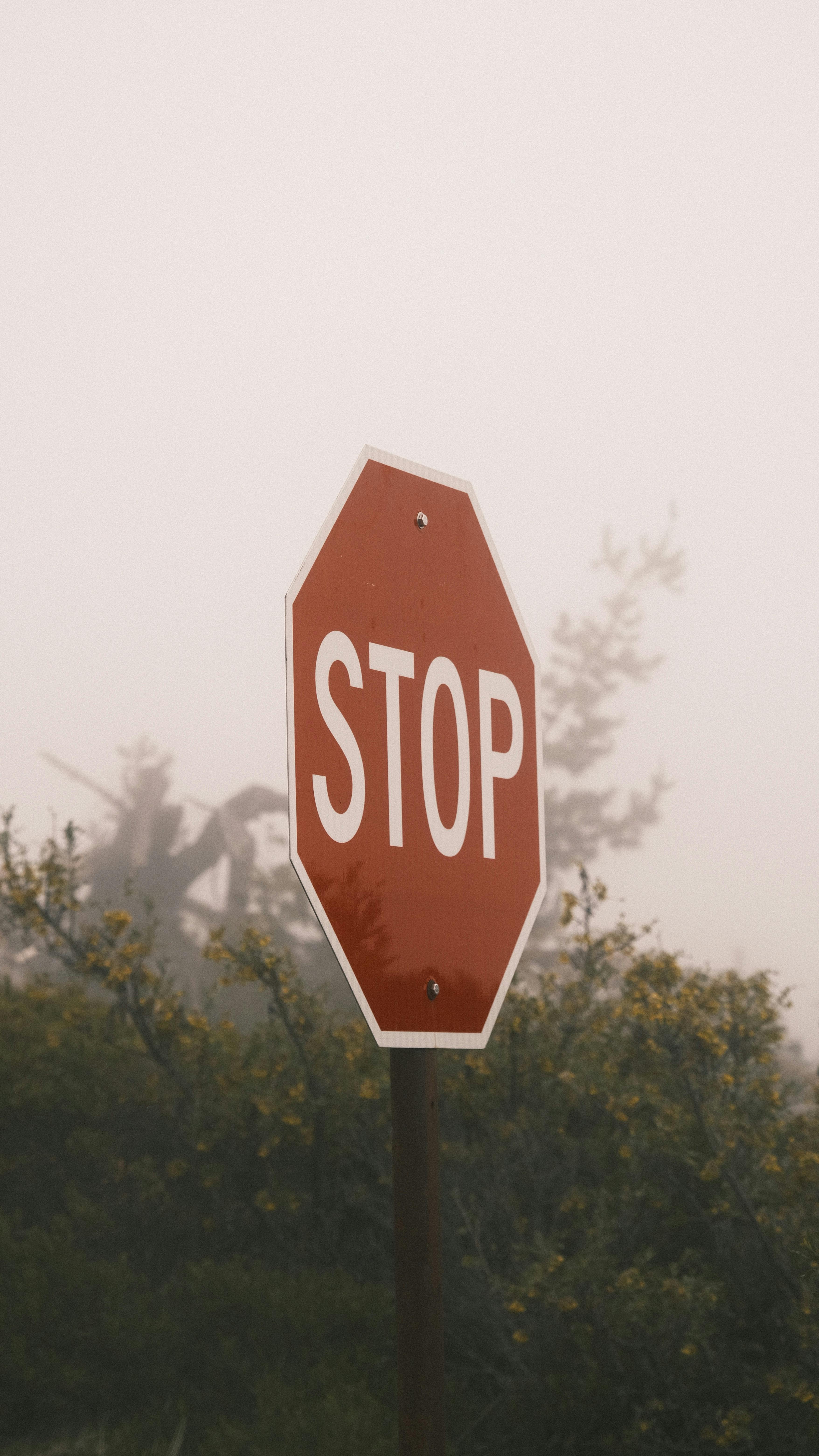 Stop Sign · Free Stock Photo