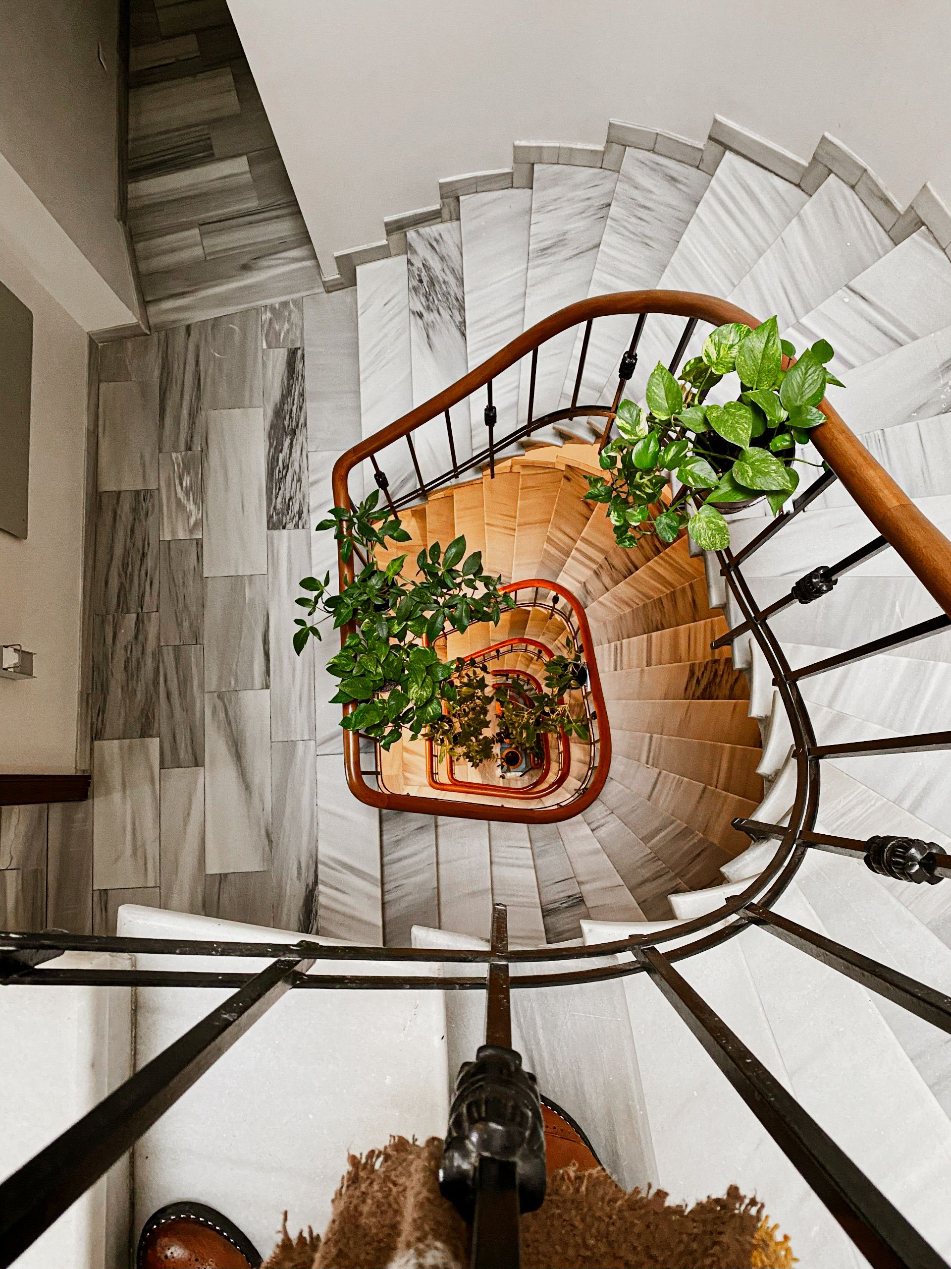 Elegant Spiral Staircase with Indoor Plants · Free Stock Photo