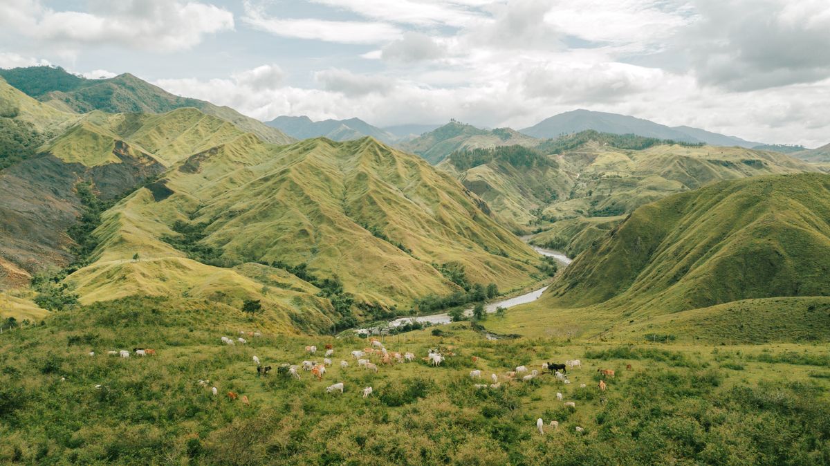 Sultan Kudarat festival