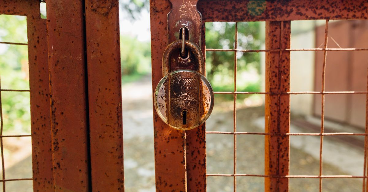 Hardened Images Explained: Fewer CVEs, Smaller Attack Surface