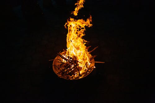 Безкоштовне стокове фото на тему «вогонь, гарячий, гілки»