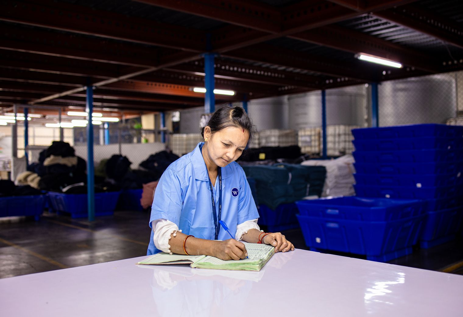 Settle — professional packers wrapping and boxing belongings