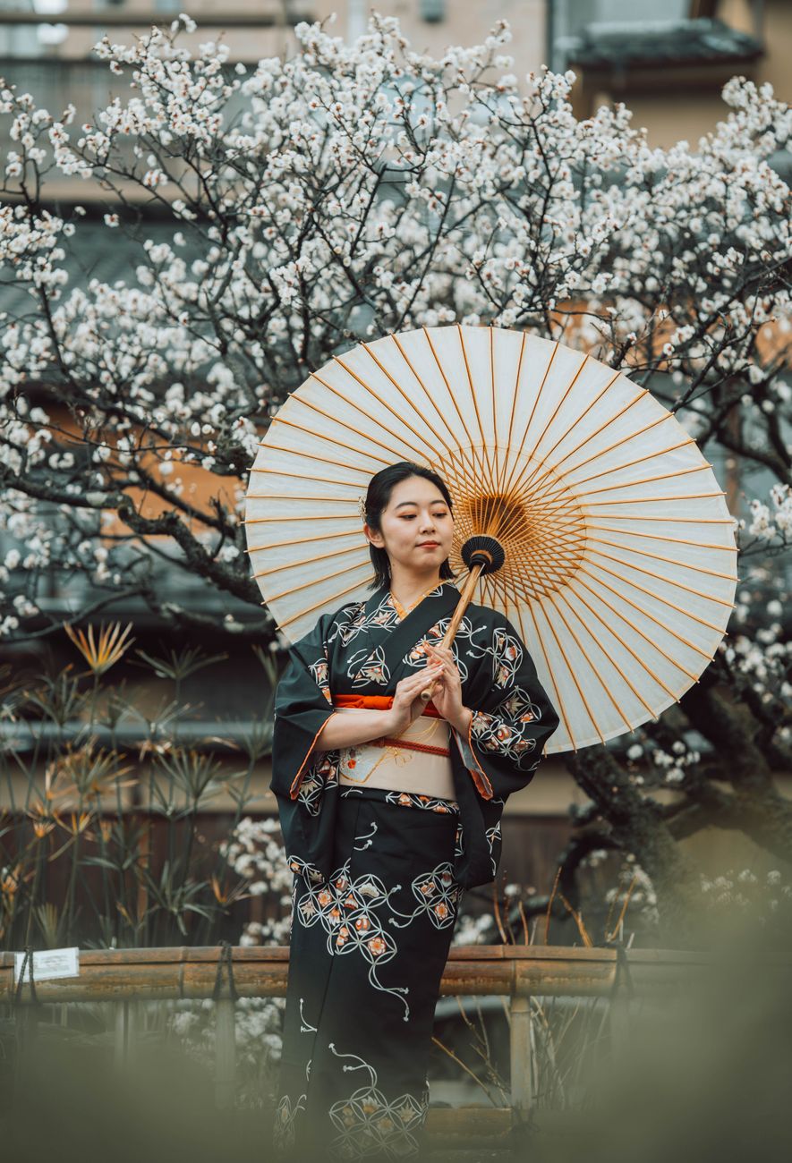 Japanese woman dressed in traditional kimono holding a parasol amidst blooming plum blossoms in Kyoto, Japan.