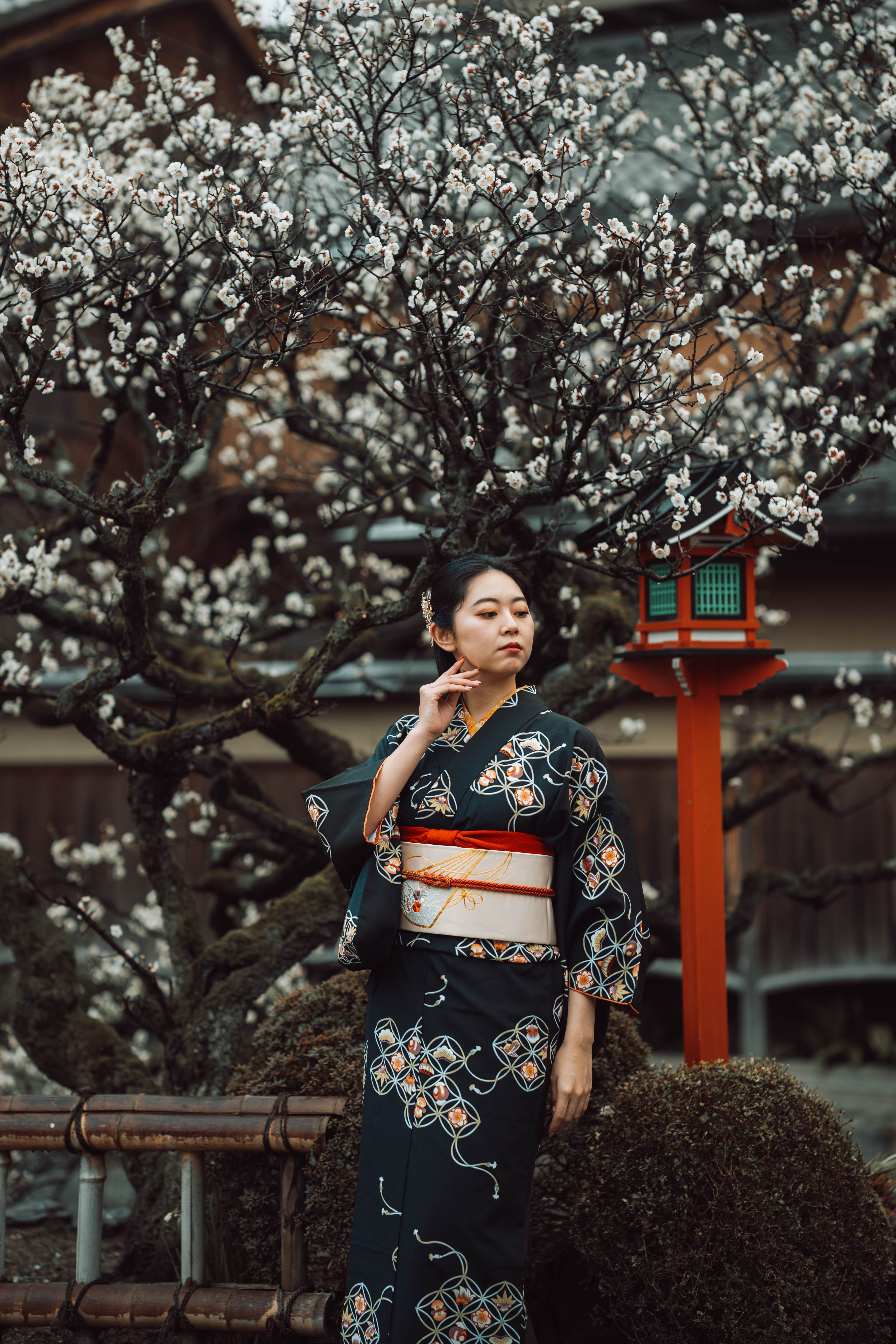 Elegant Japanese woman in traditional kimono poses under blooming plum blossoms in Kyoto.