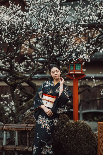Japanese woman in a kimono poses by plum blossoms, Kyoto.