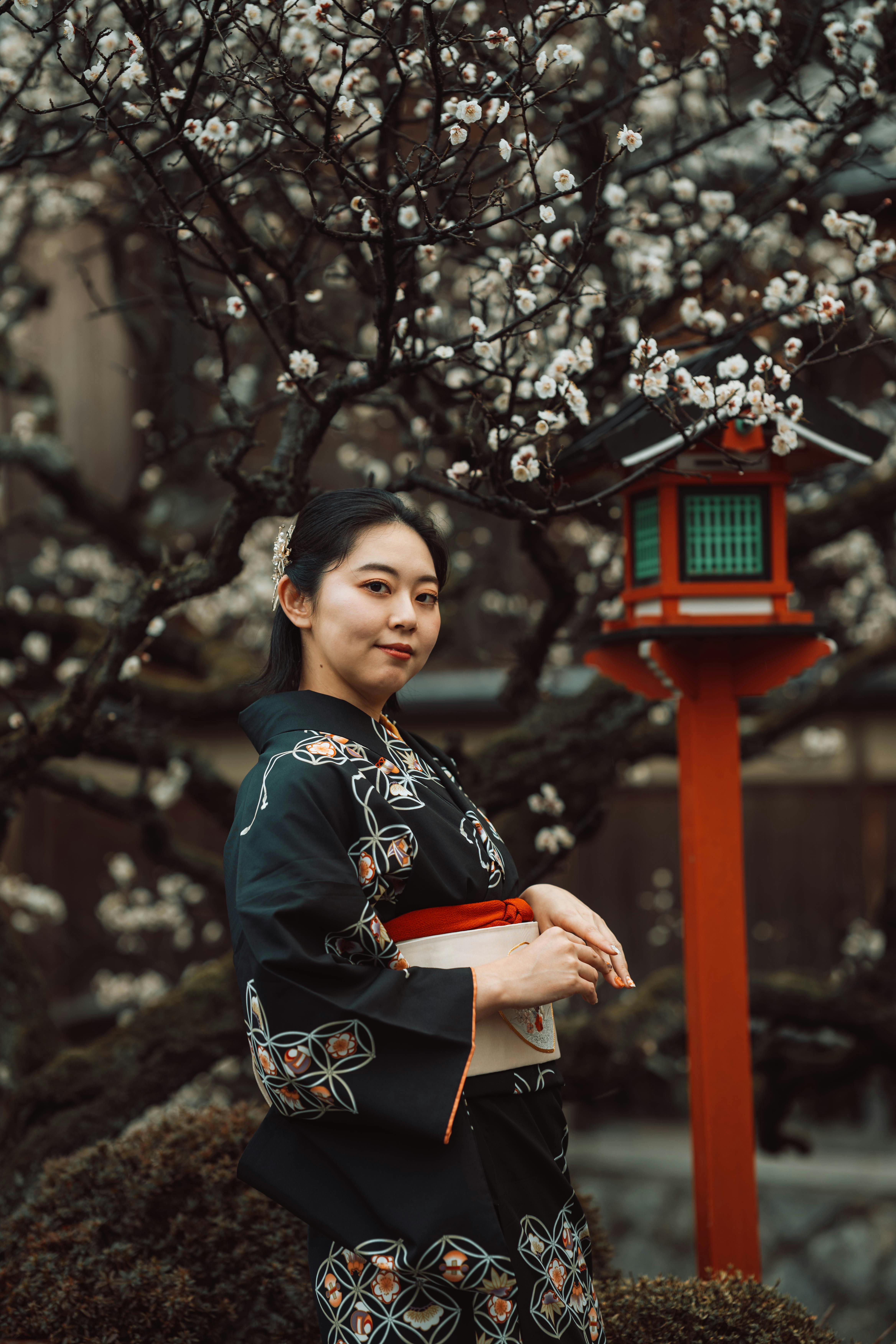 Elegant Japanese woman in kimono under blooming plum tree in Kyoto, Japan.