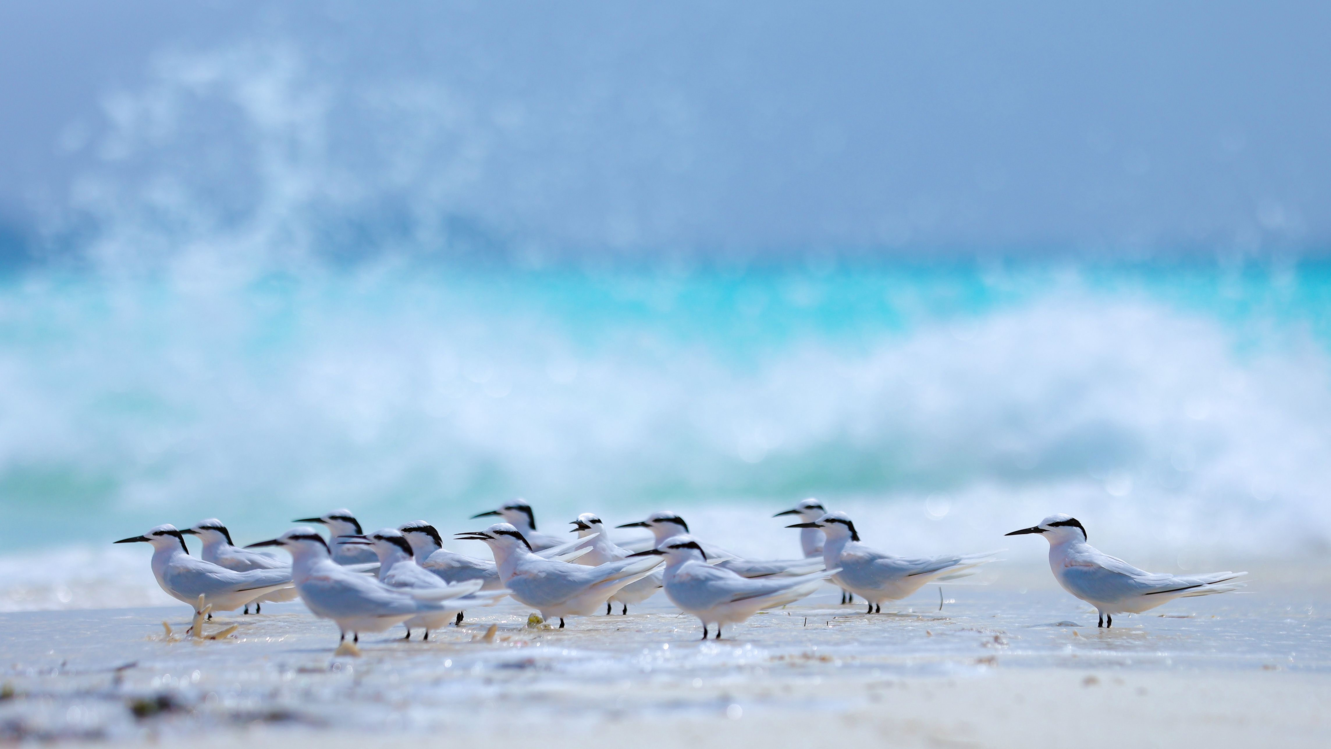 Addu Nature Park (Eydhigali Kilhi & Koattey)