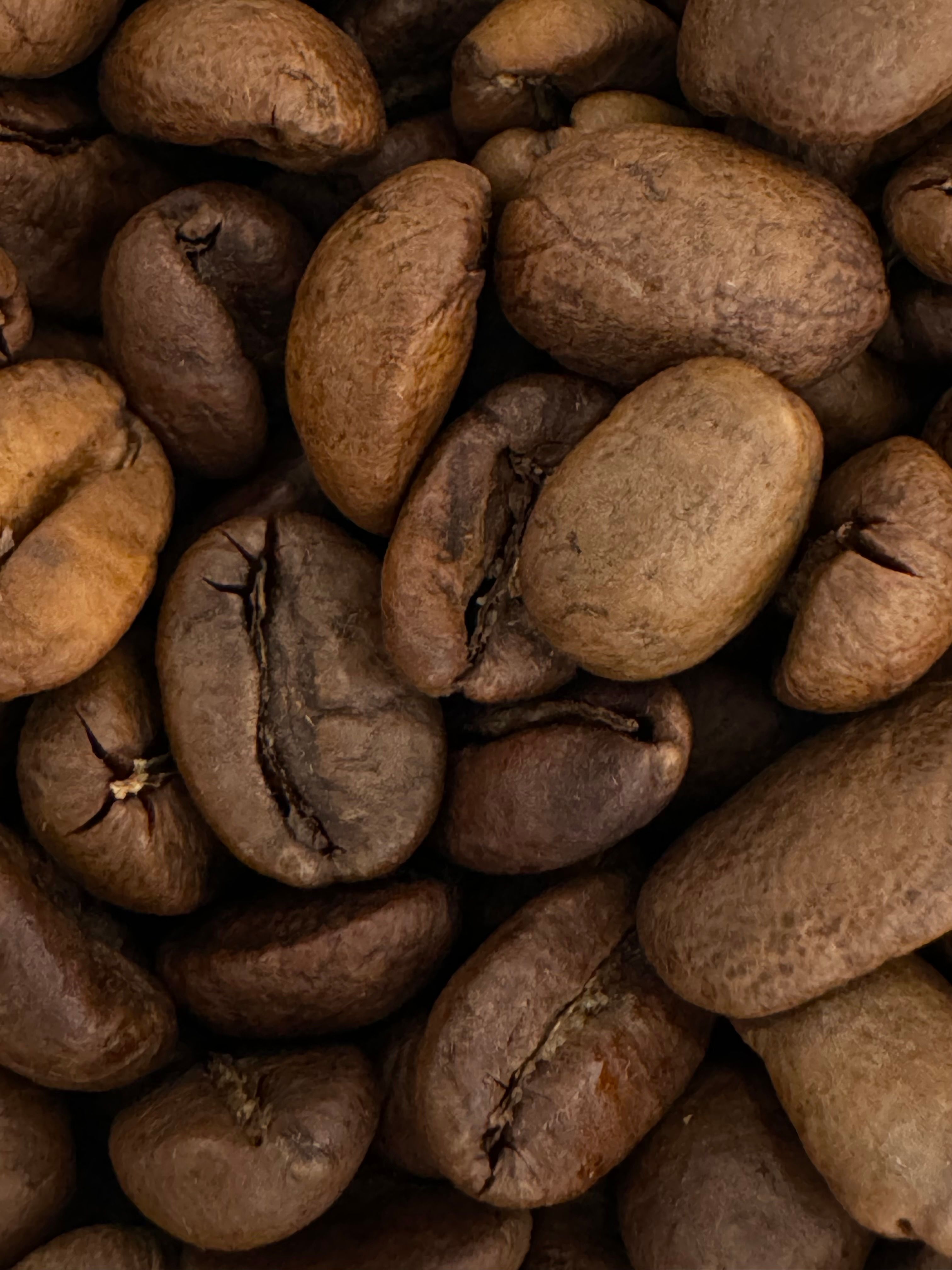 Macro Shot of Roasted Coffee Beans for Brewing · Free Stock Photo