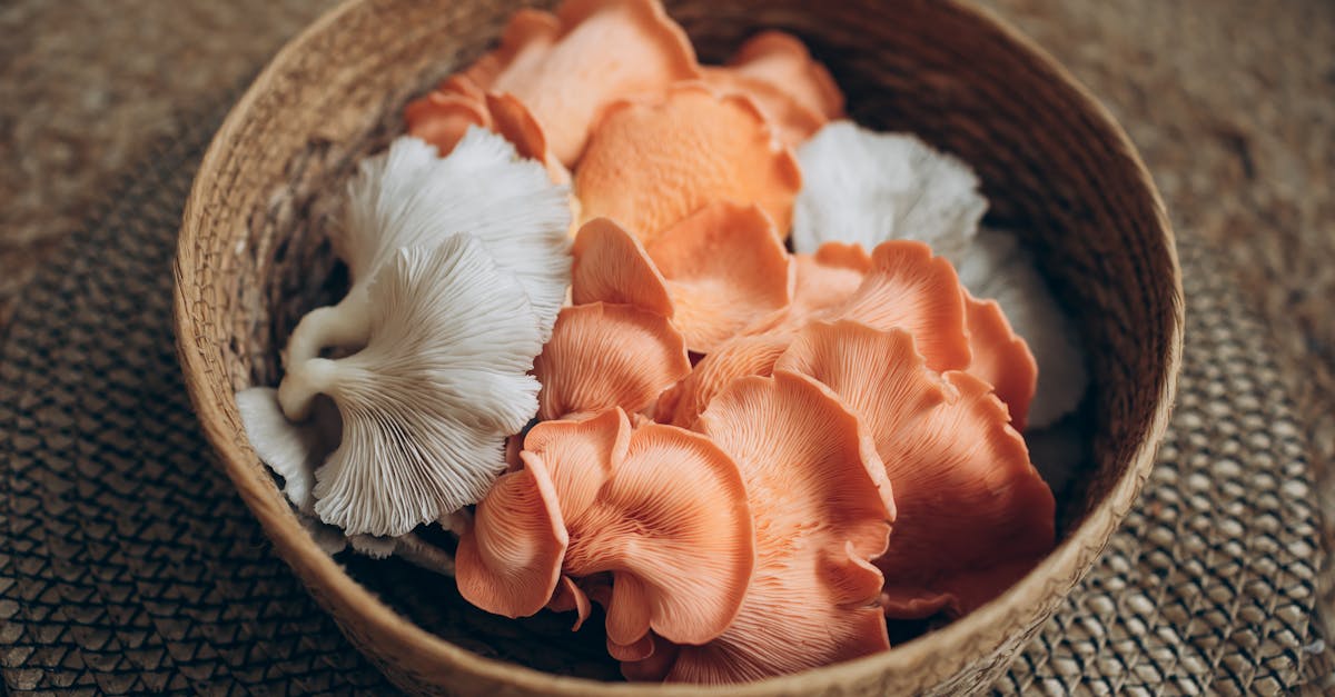 為什麼大安農會的黑木耳產品能在飛天豬生活館上架?