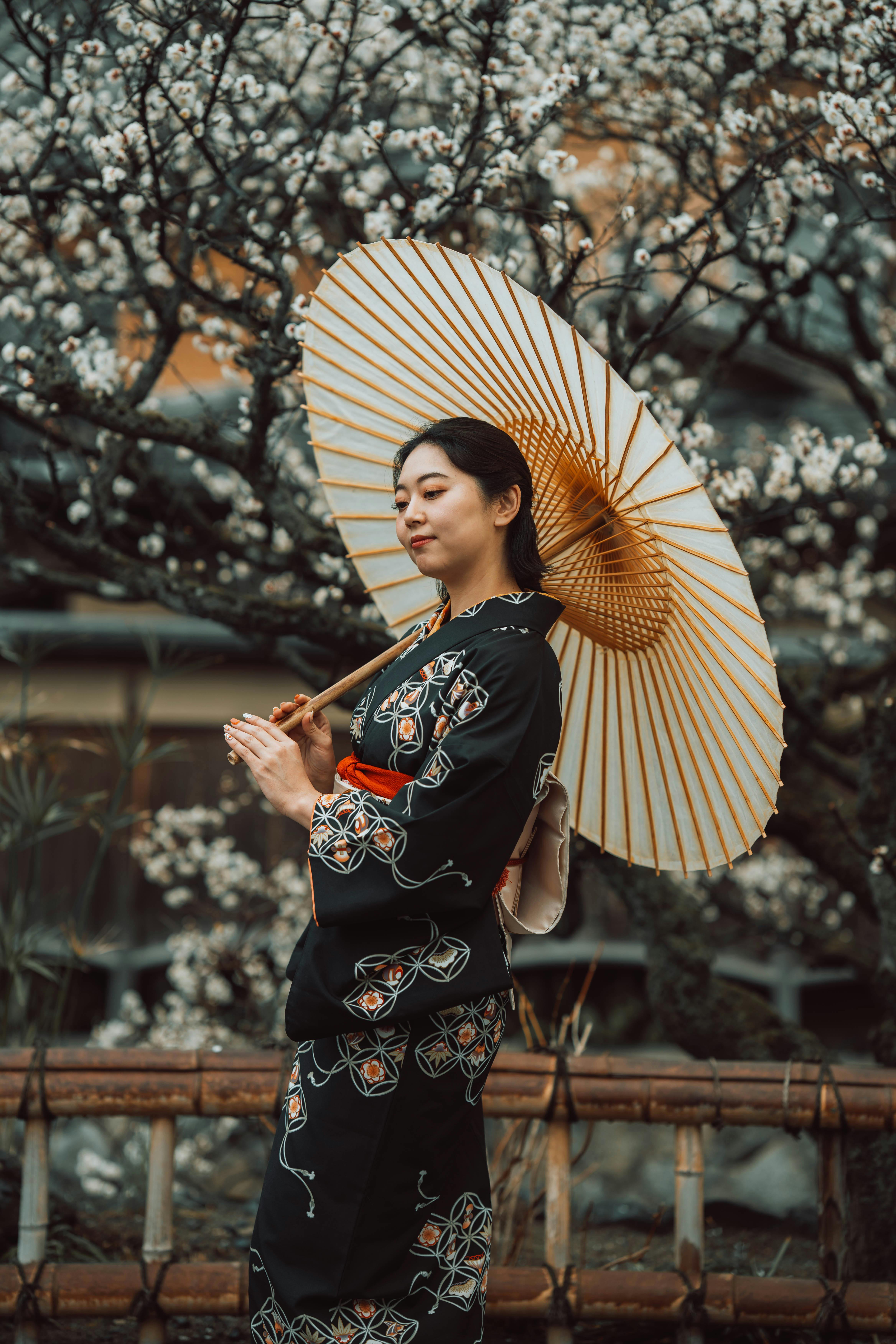 Woman in a black kimono with umbrella in blooming Kyoto garden.