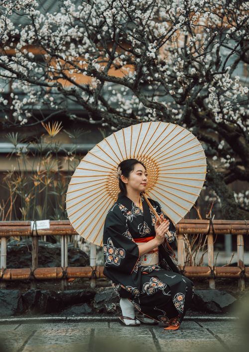Free A woman wearing a kimono holds a parasol in a serene garden setting in Kyoto, Japan. Stock Photo