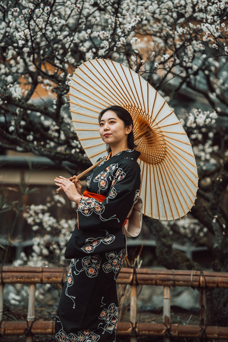 Japanese woman in traditional kimono holding a parasol with plum blossoms in background, Kyoto, Japa