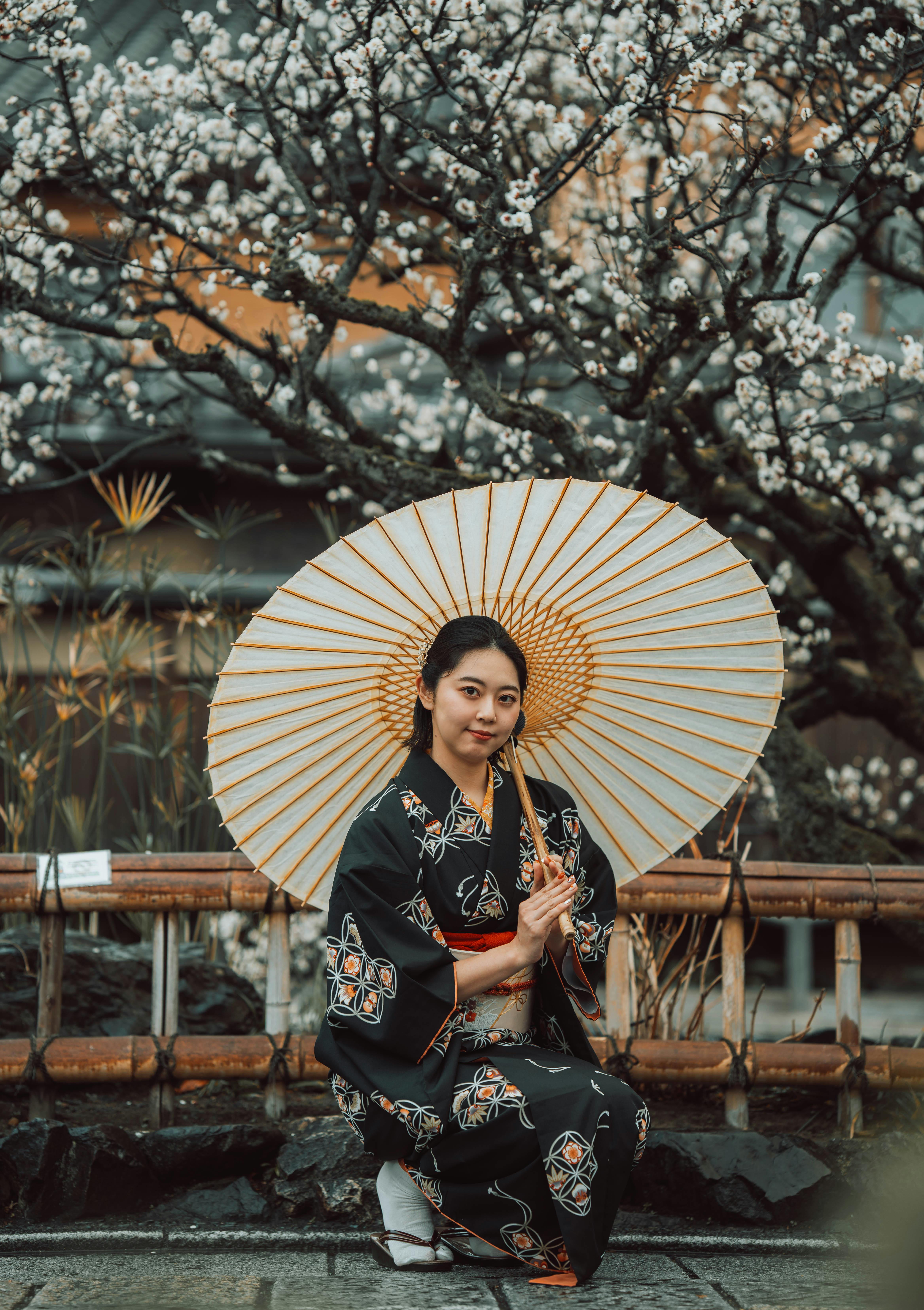 A woman in a kimono poses with an umbrella under blooming plum blossoms in Kyoto, Japan.