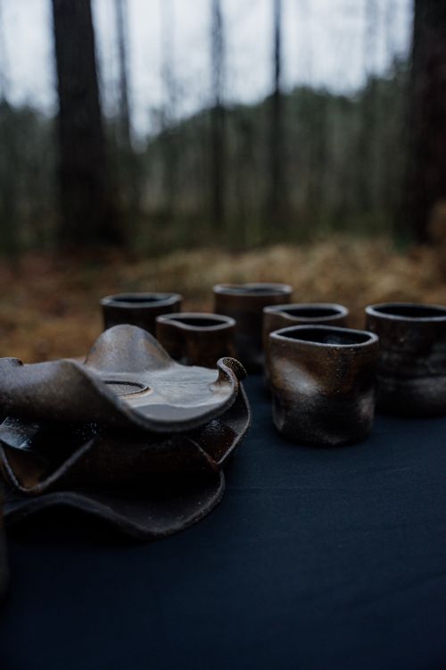 Free Collection of handmade ceramic cups and bowls placed in a serene forest setting. Stock Photo