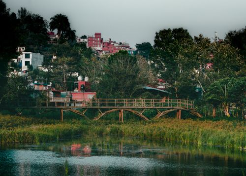 Free stock photo of bridge, city, green Stock Photo